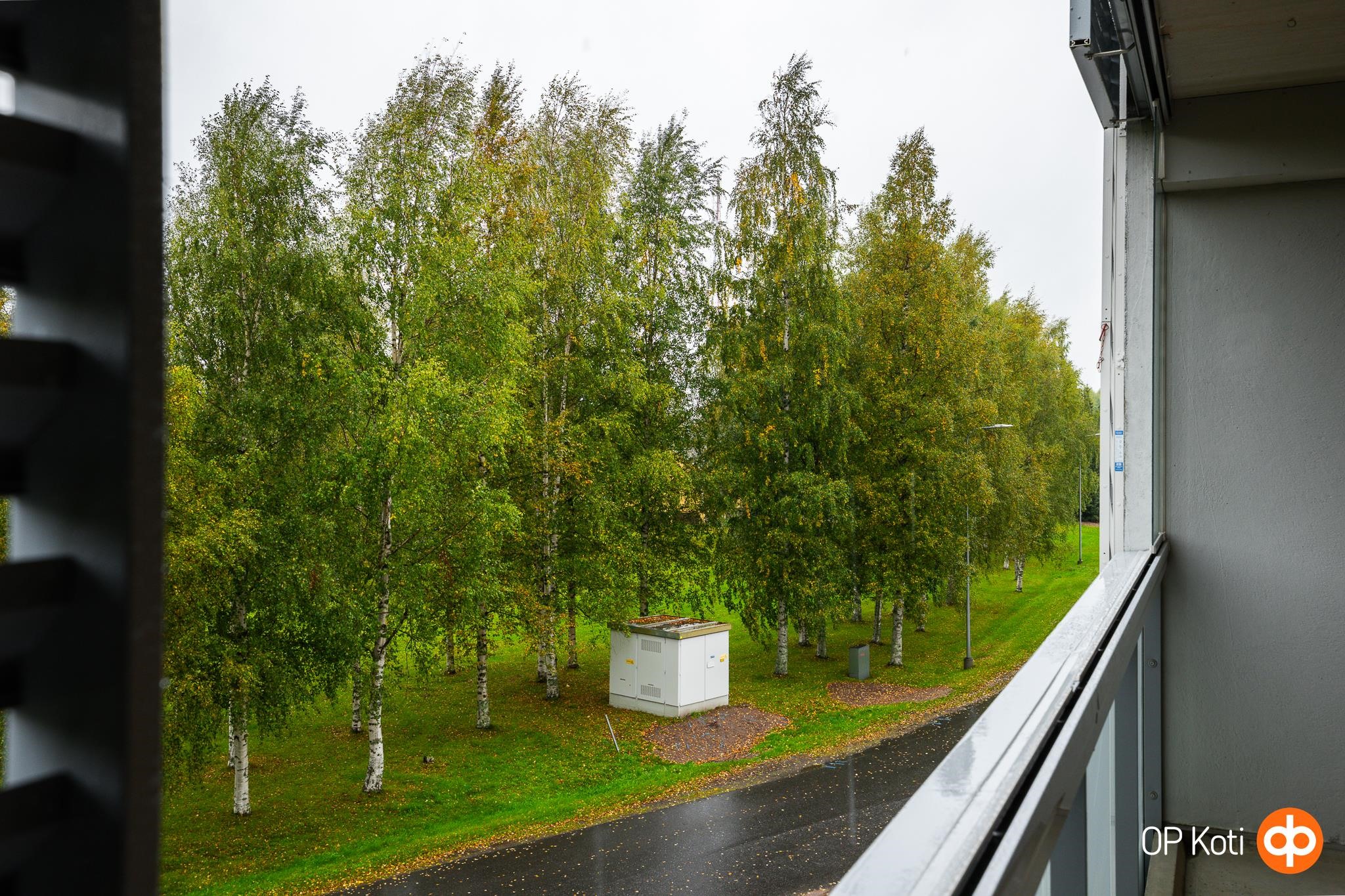 Kohdekuva 15