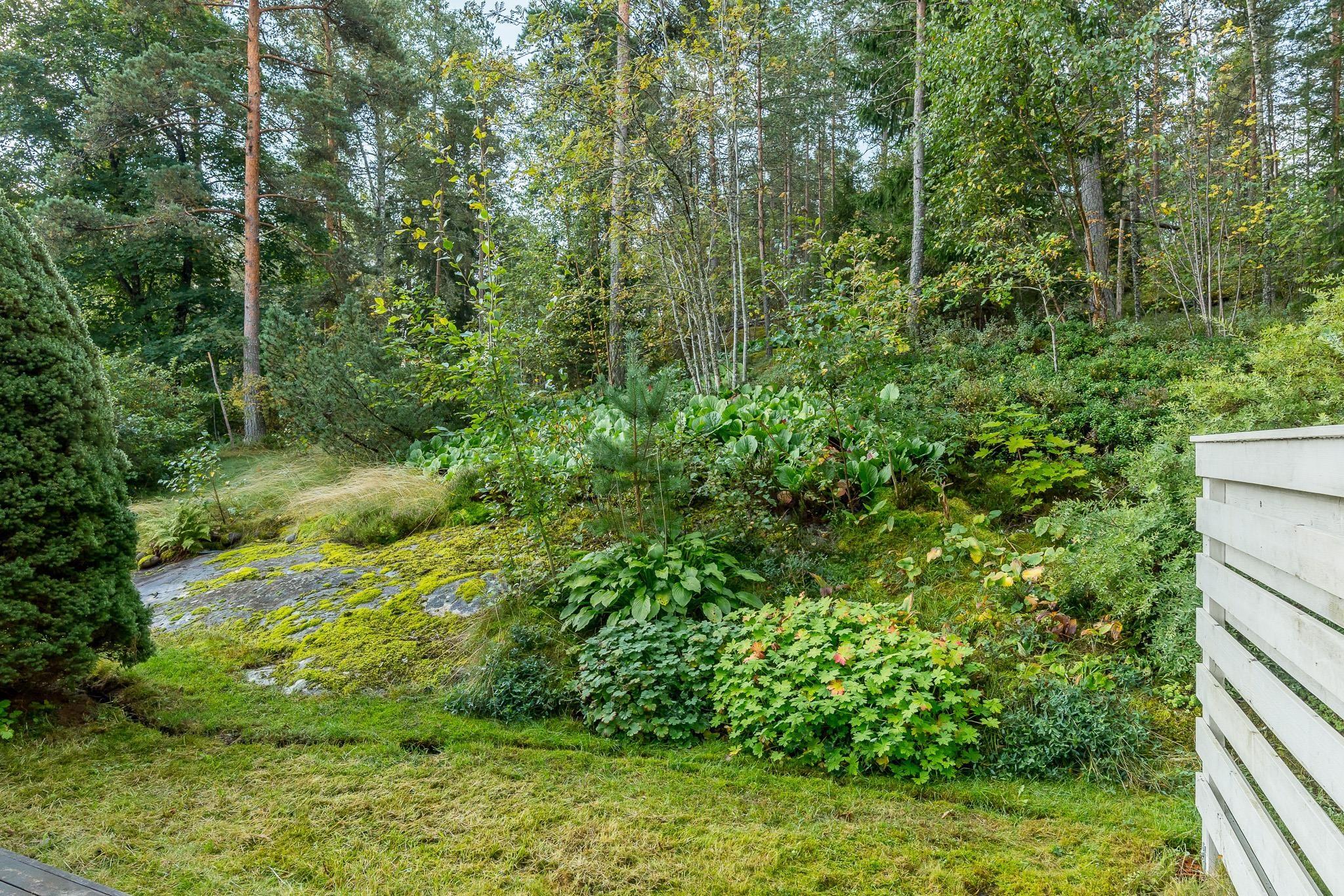 Tontti rajoittuu metsäiseen puistoalueeseen