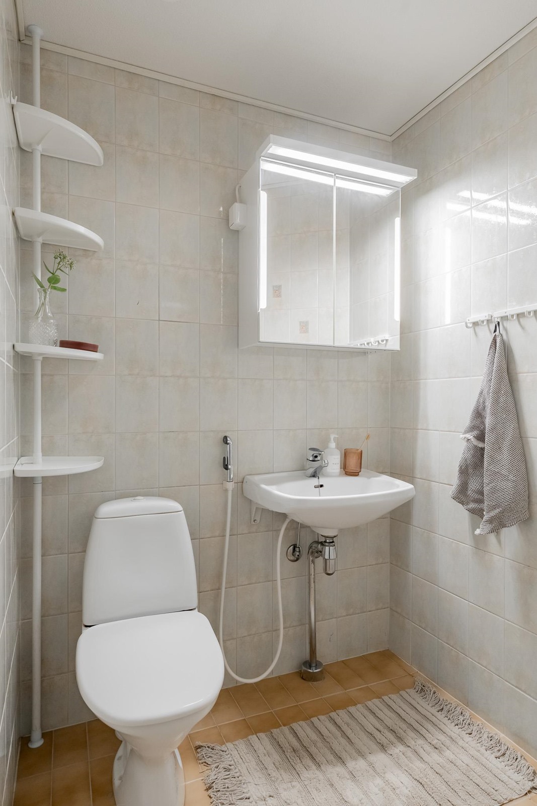 Erillinen wc