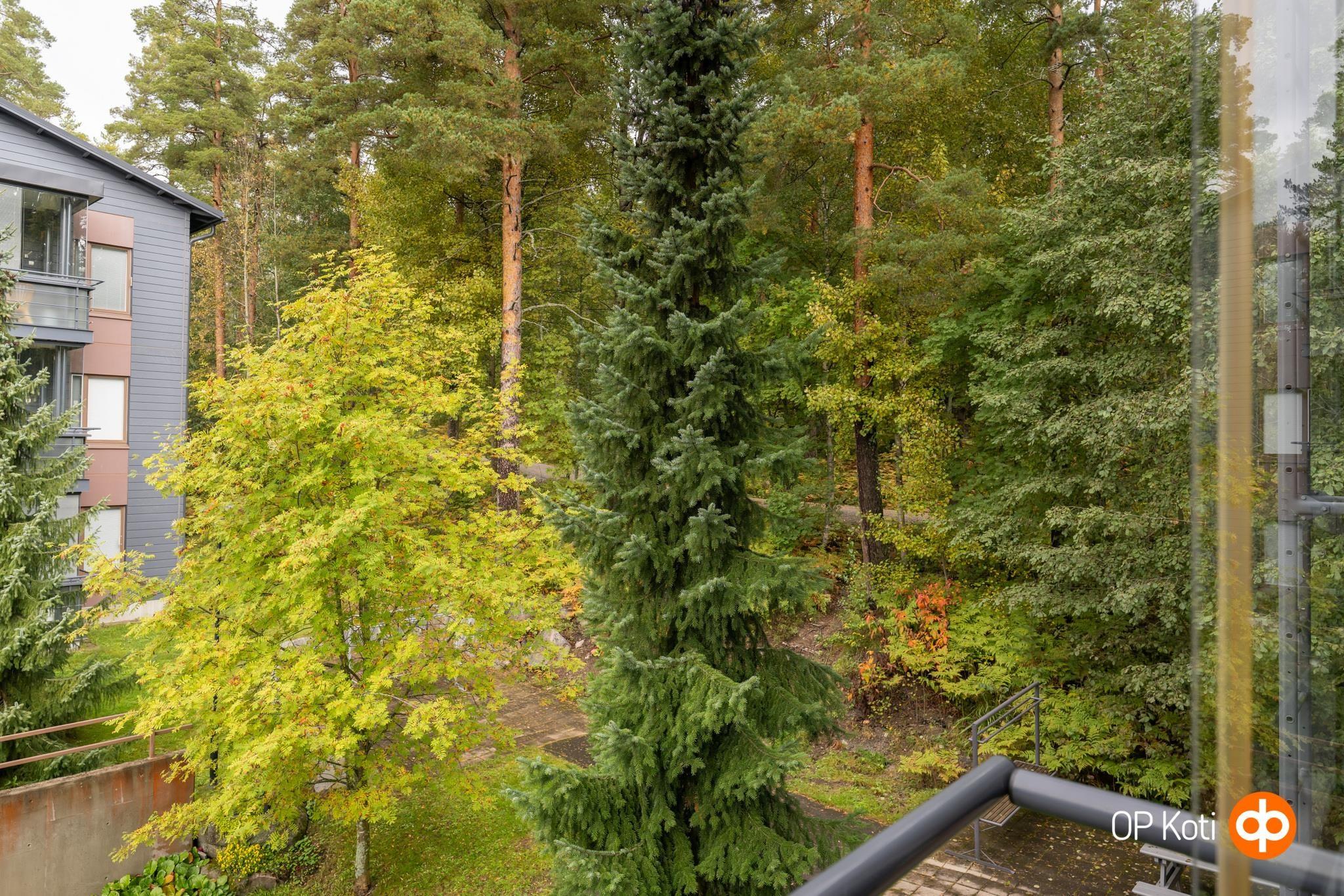 Kohdekuva 25