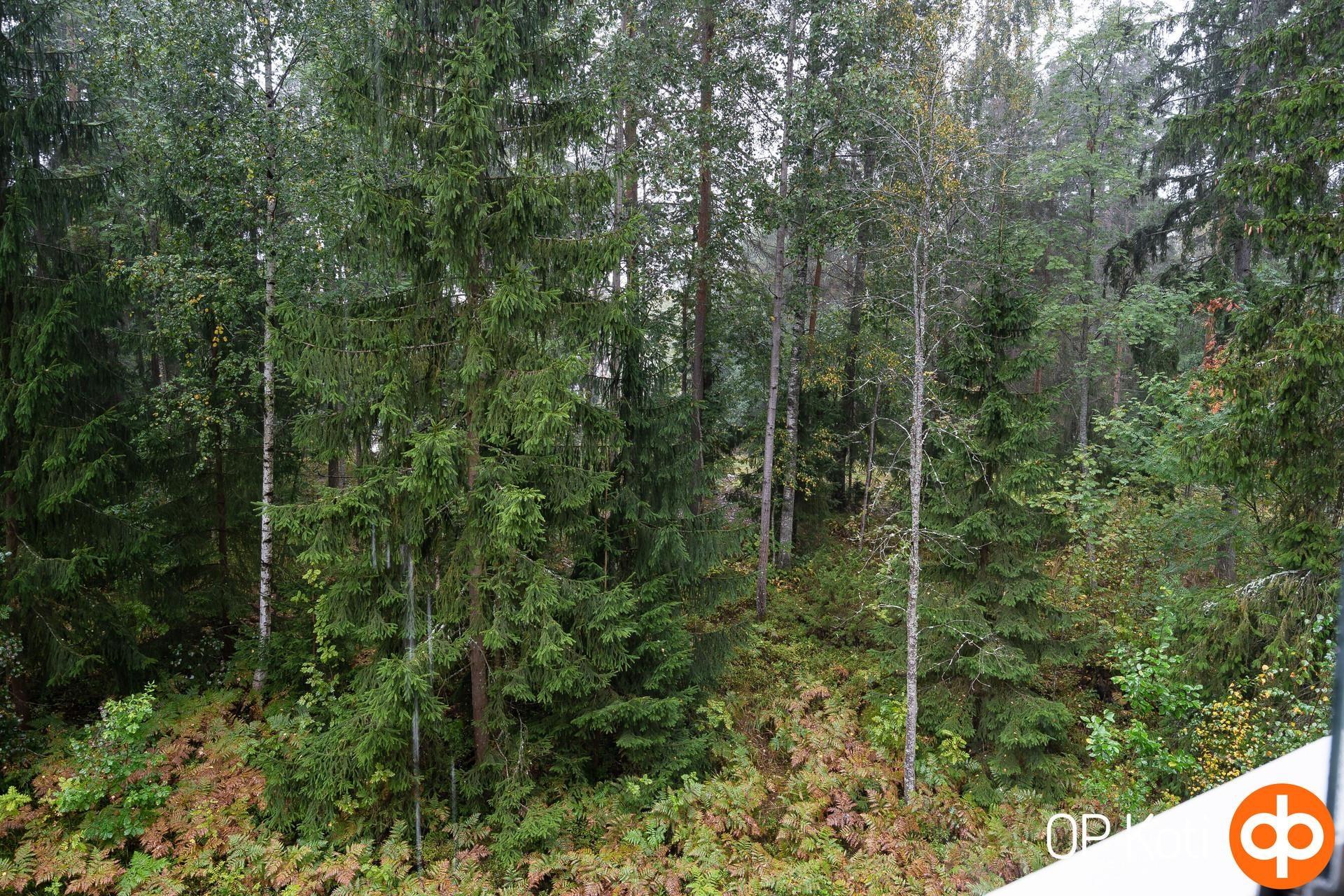 Kohdekuva 8