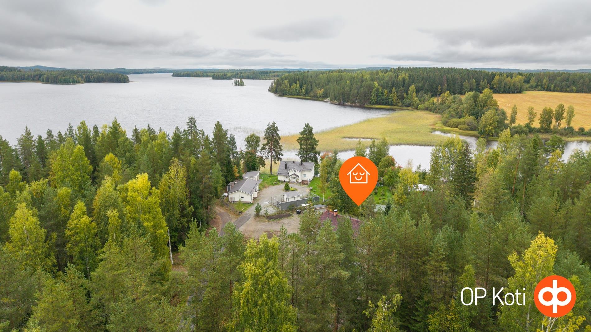 Kohdekuva 50