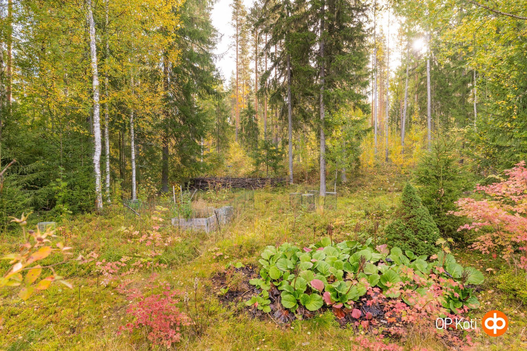 Kohdekuva 36