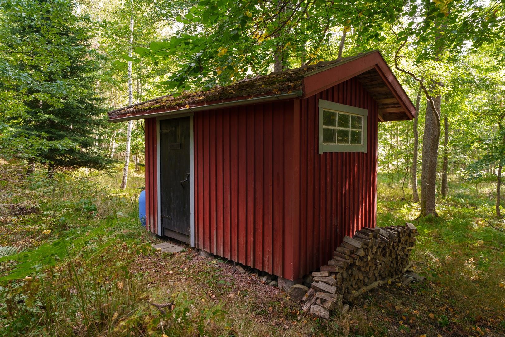 Kohdekuva 36
