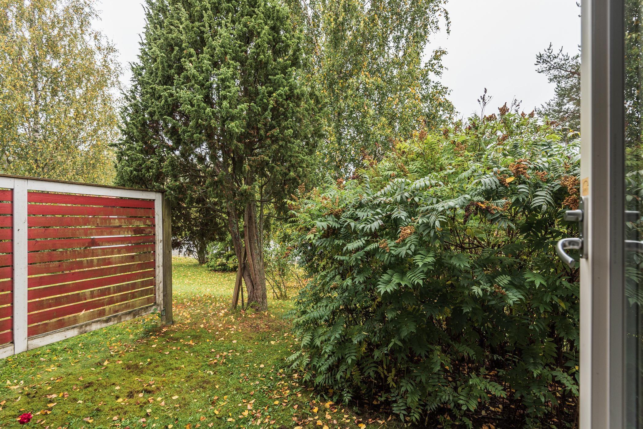 Kohdekuva 13