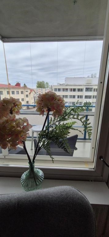 Kohdekuva 11