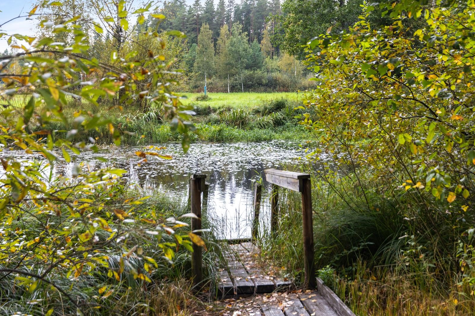 Kohdekuva 3