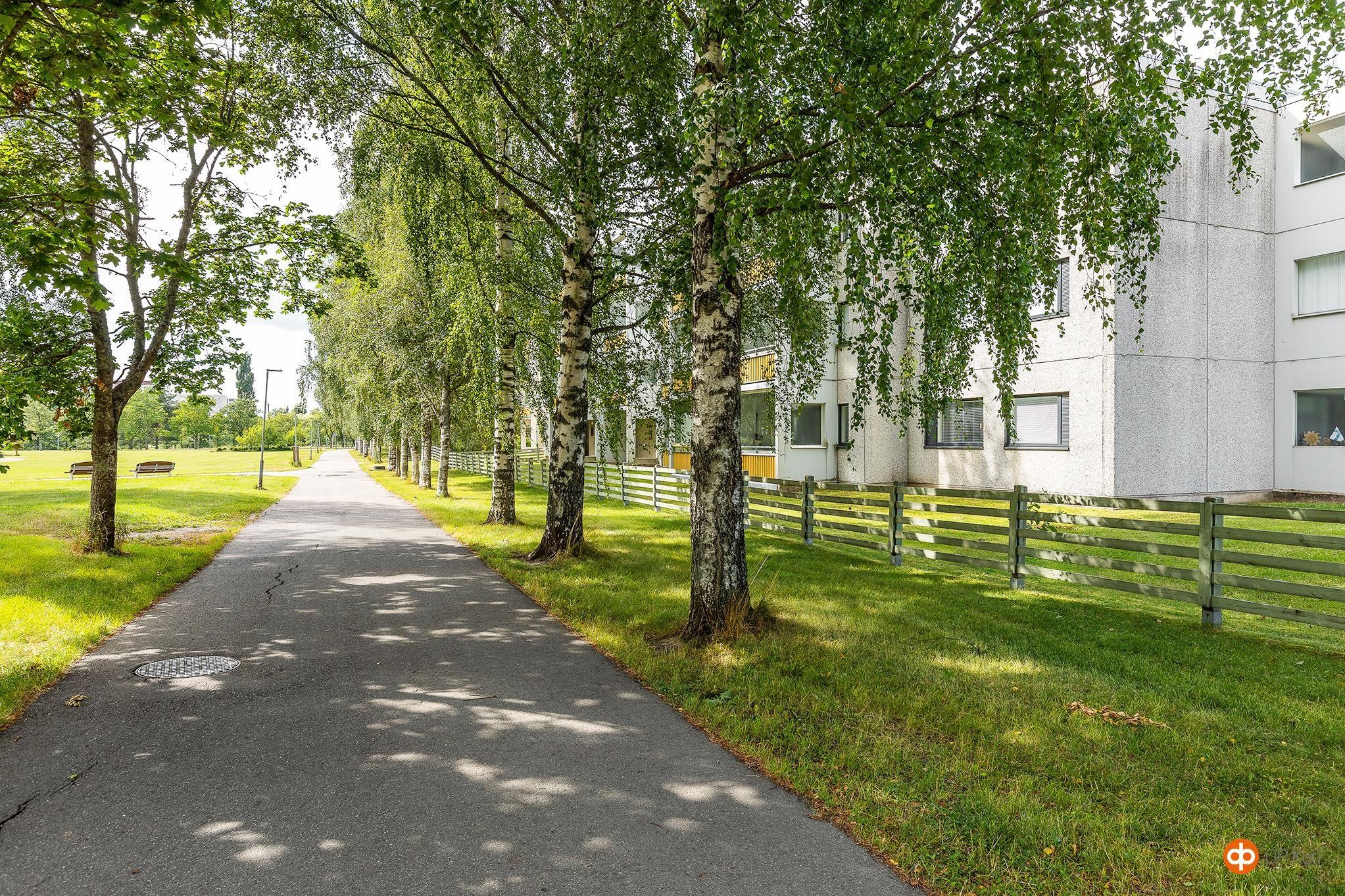 Kohdekuva 6