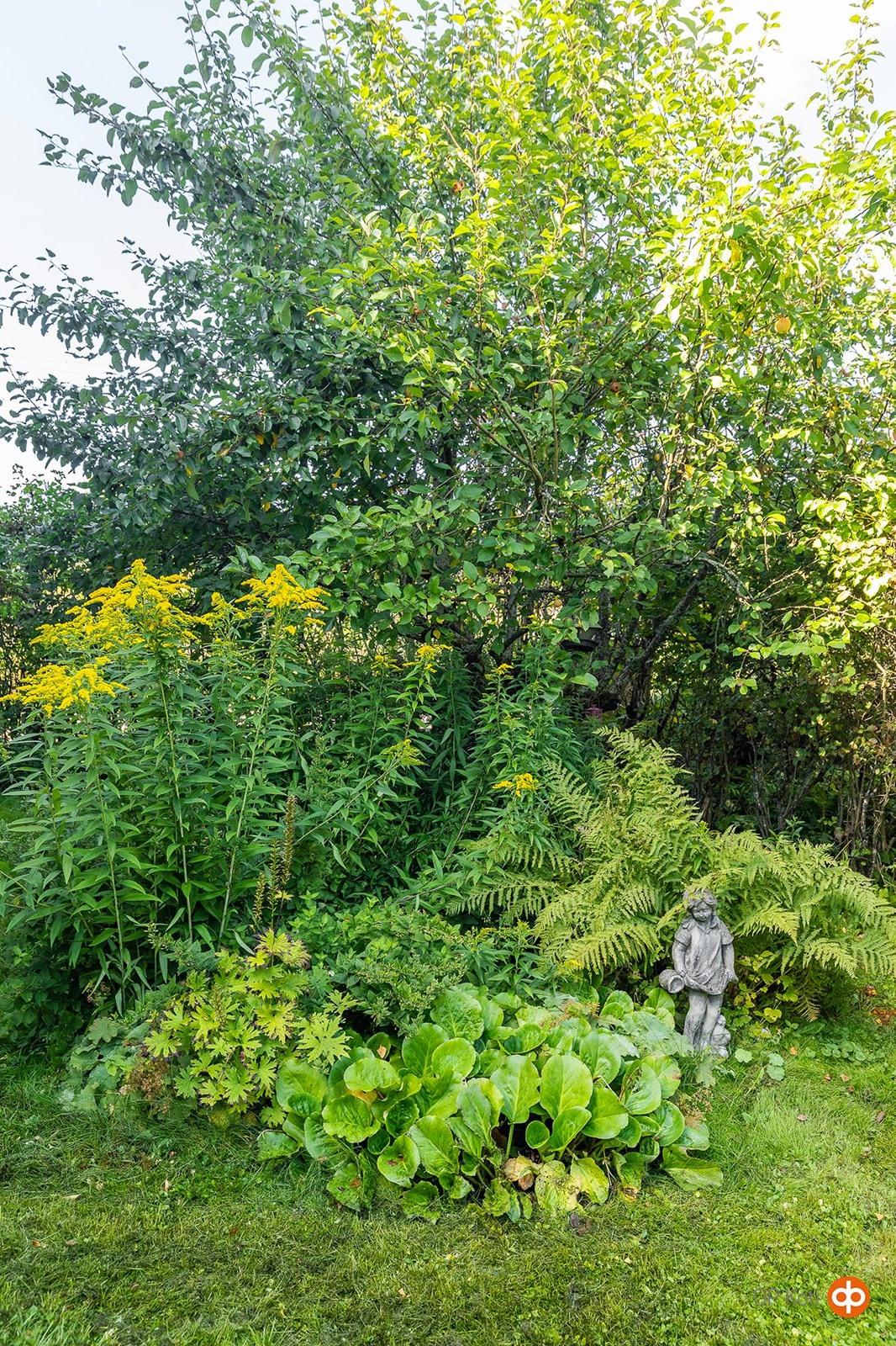 Kohdekuva 56