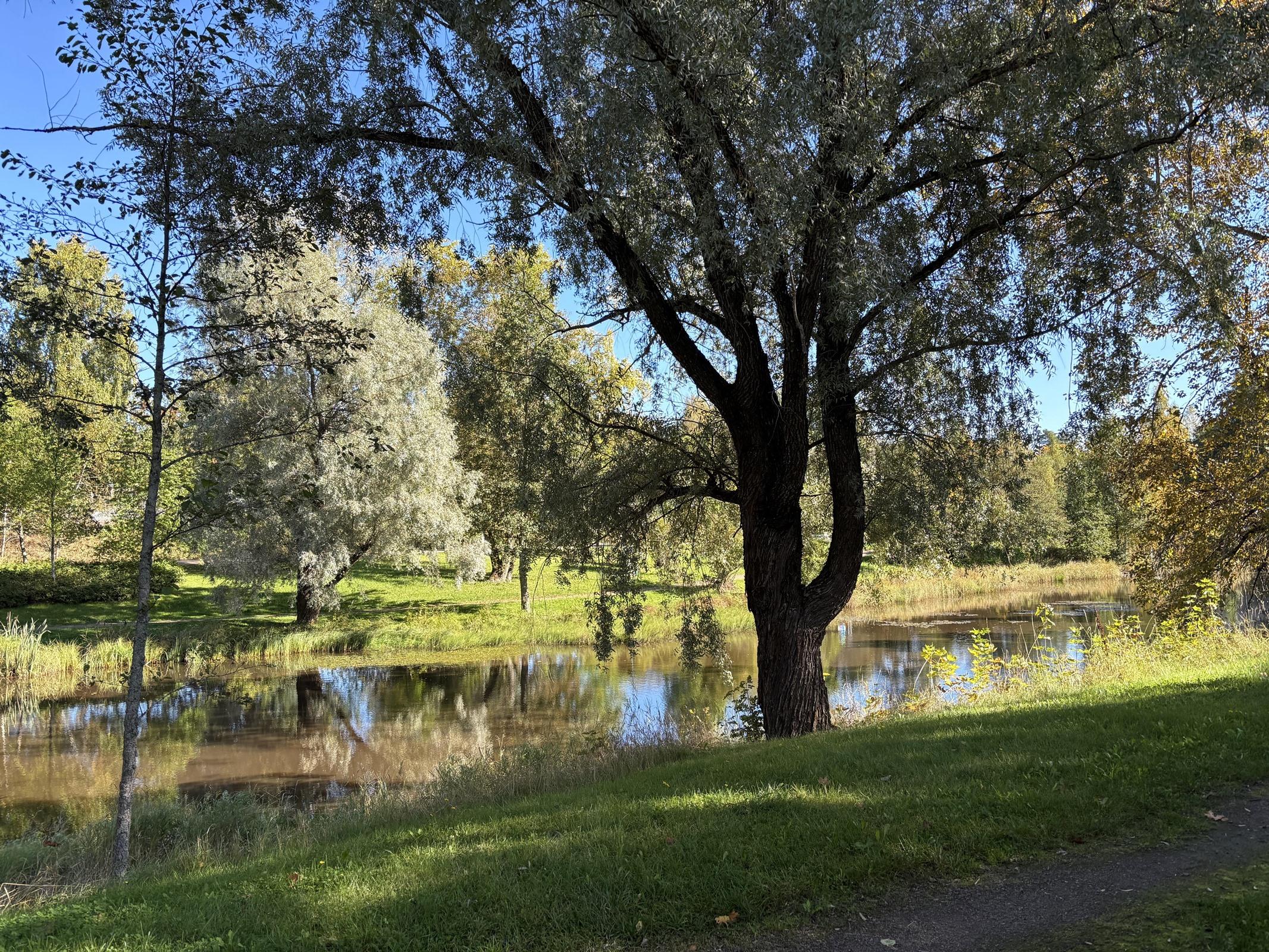 Kohdekuva 14