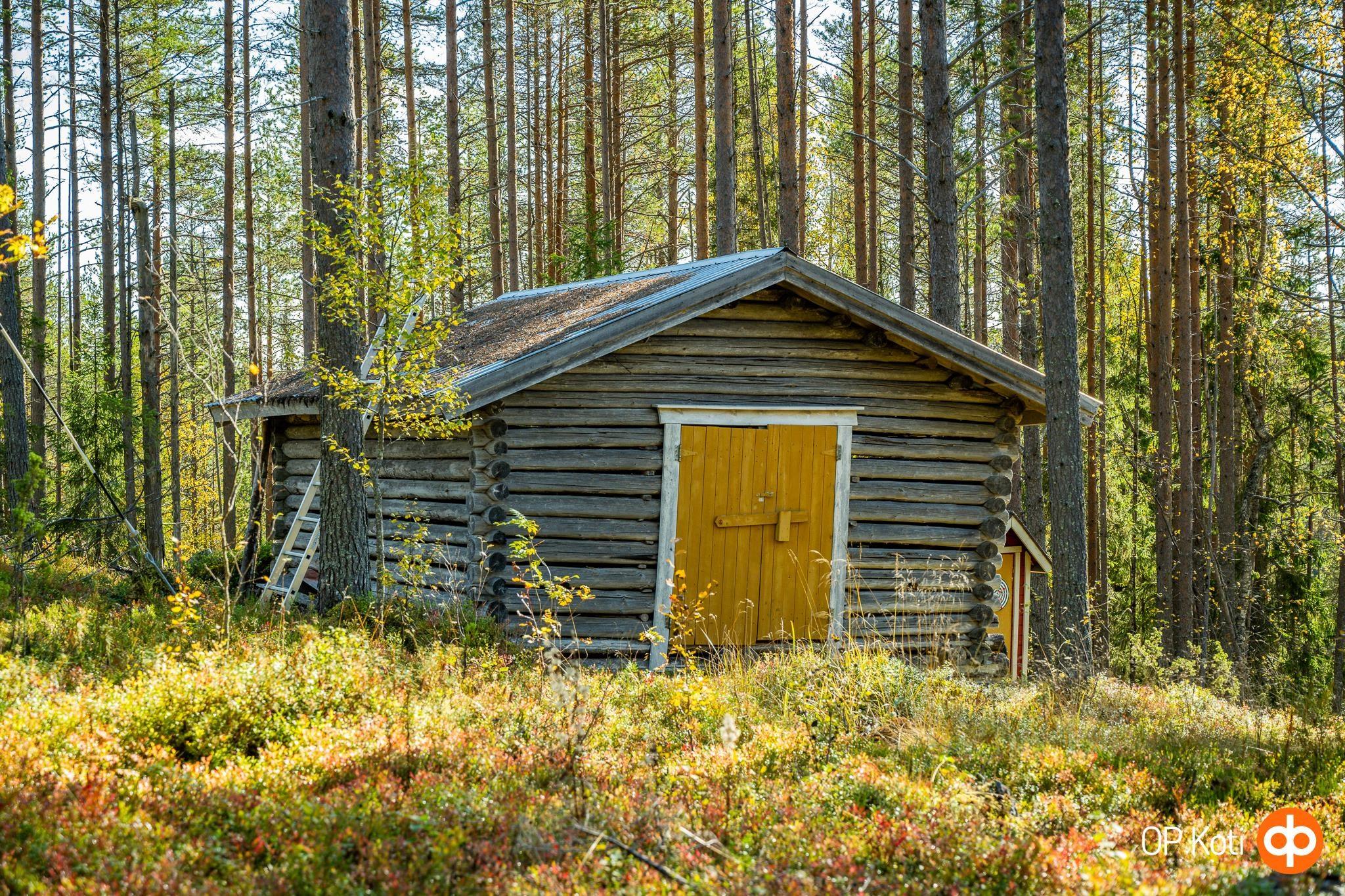 Kohdekuva 21