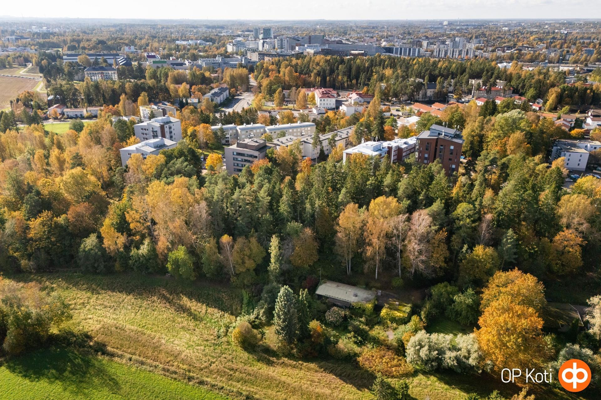 Kohdekuva 3