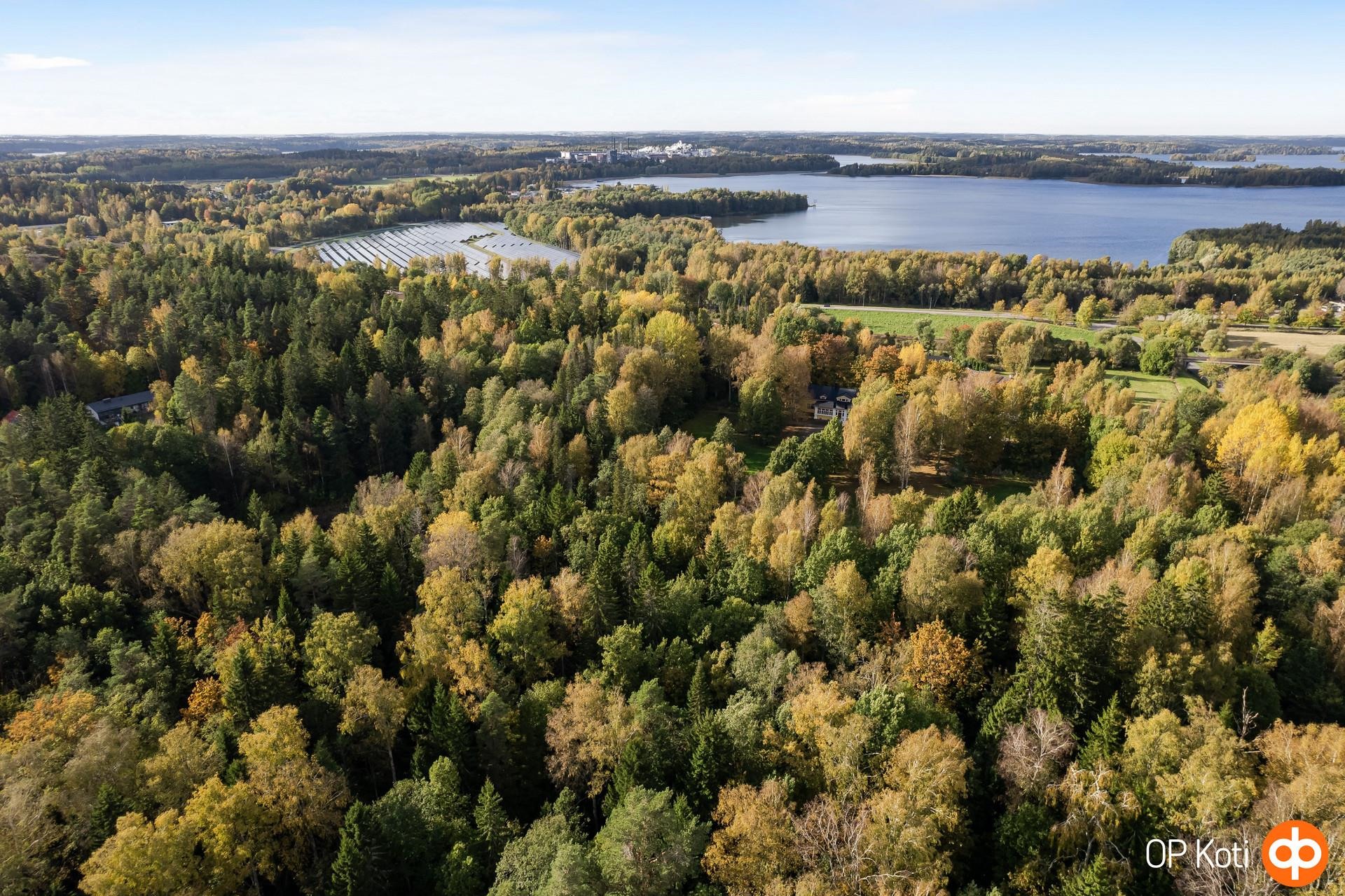 Kohdekuva 43