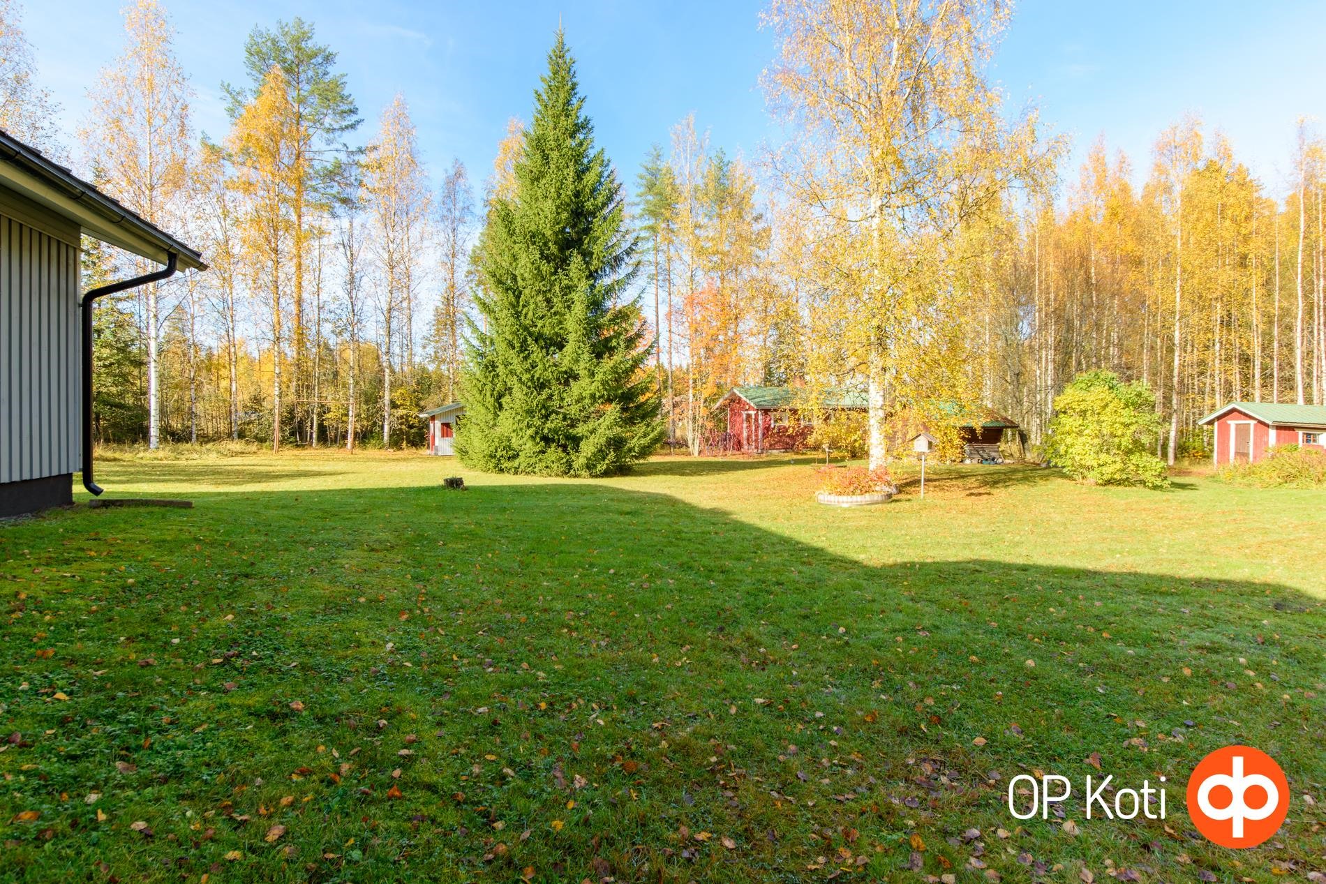 Kohdekuva 42