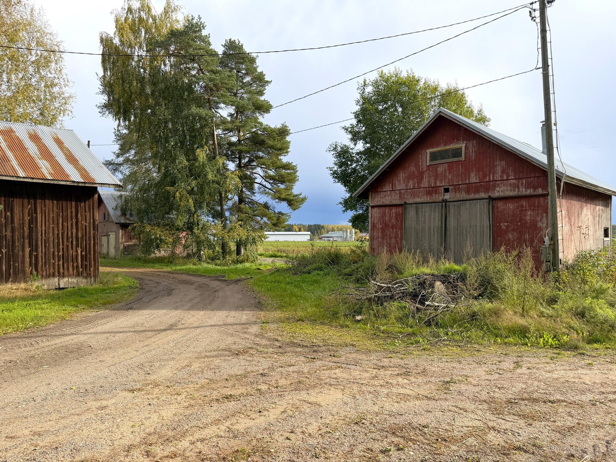 Kohdekuva 4