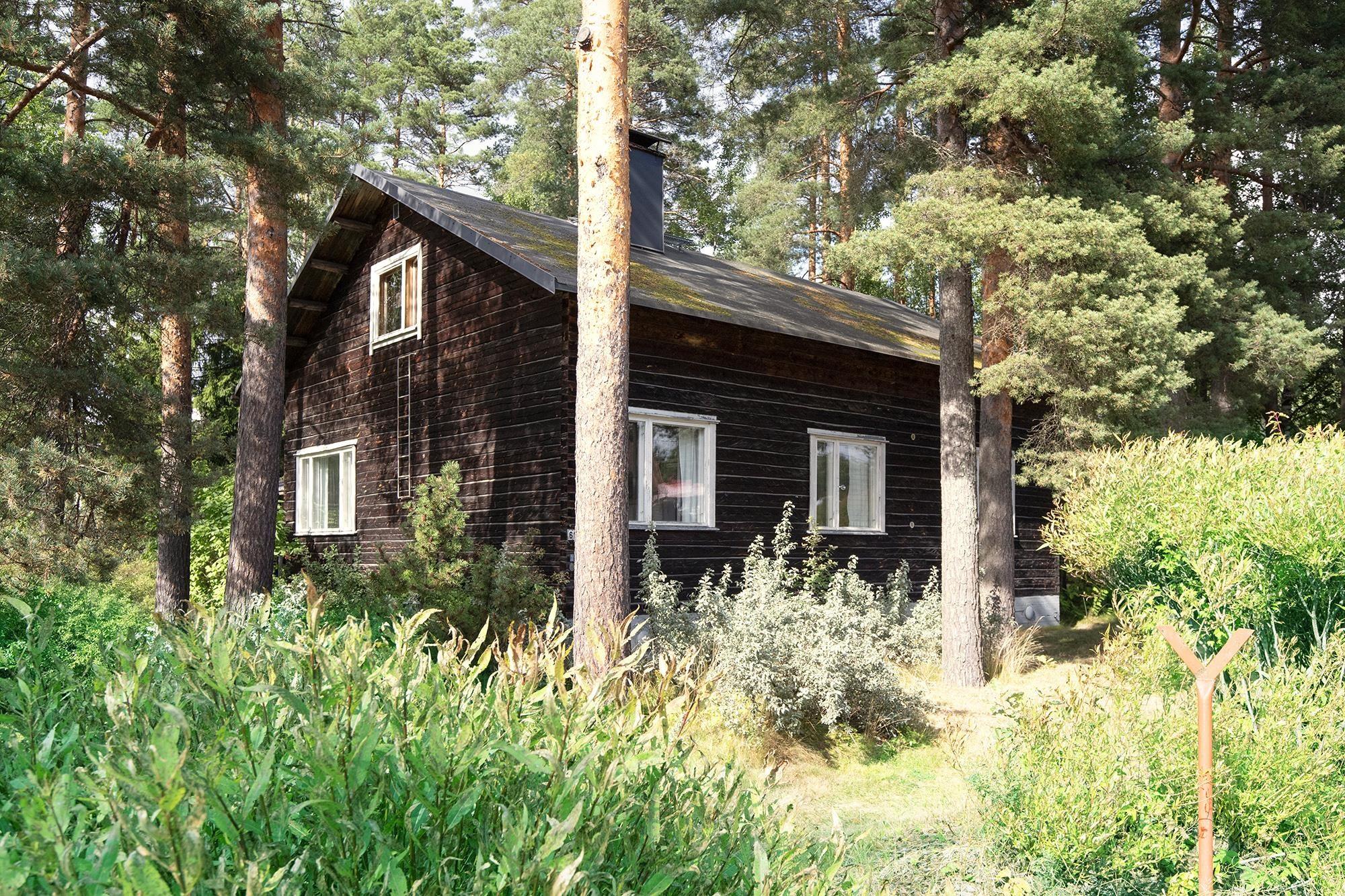 Kohdekuva 19