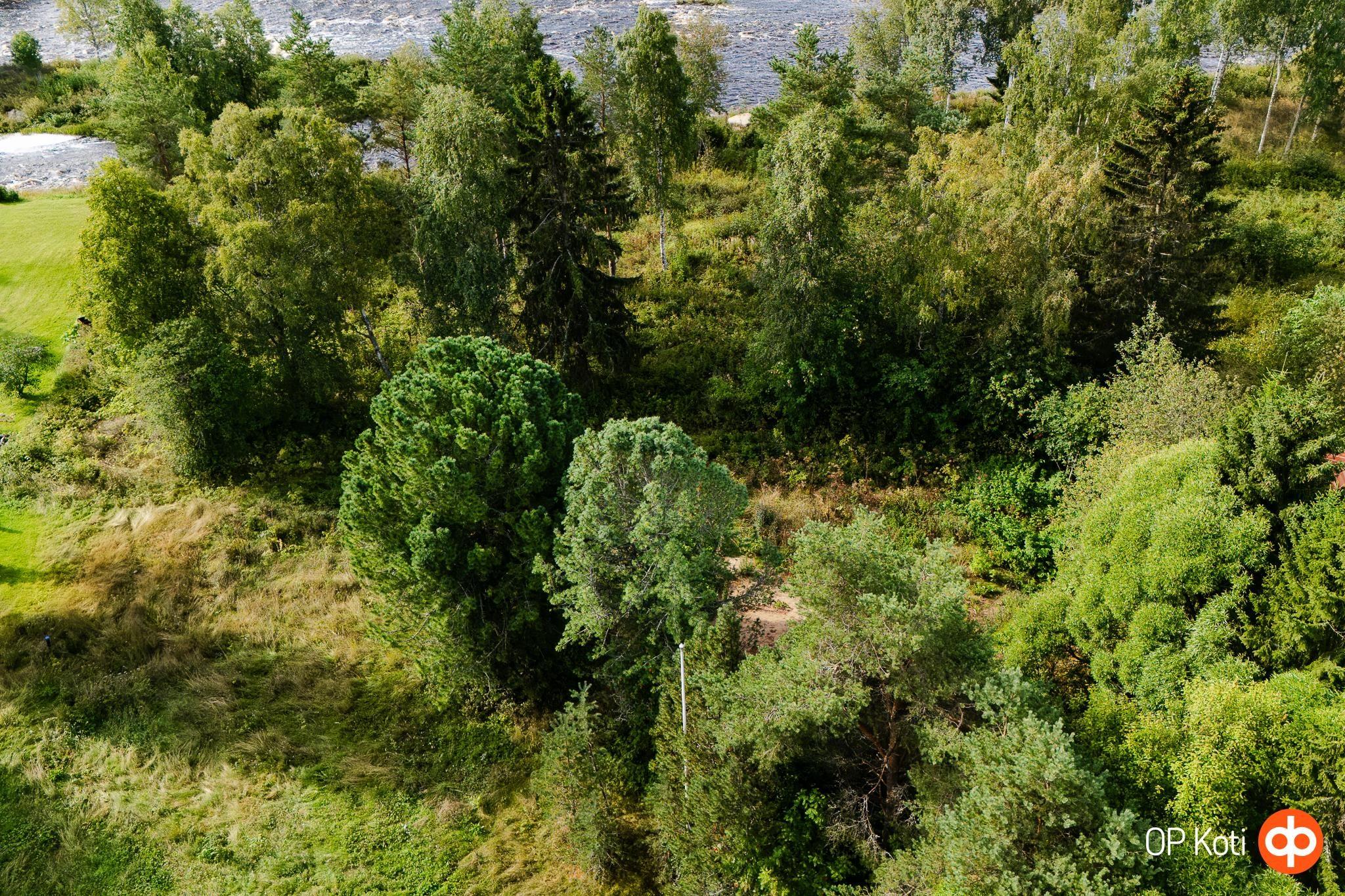Kohdekuva 16