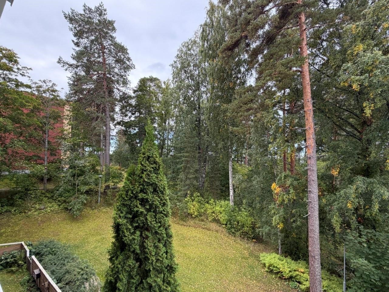 Kohdekuva 14