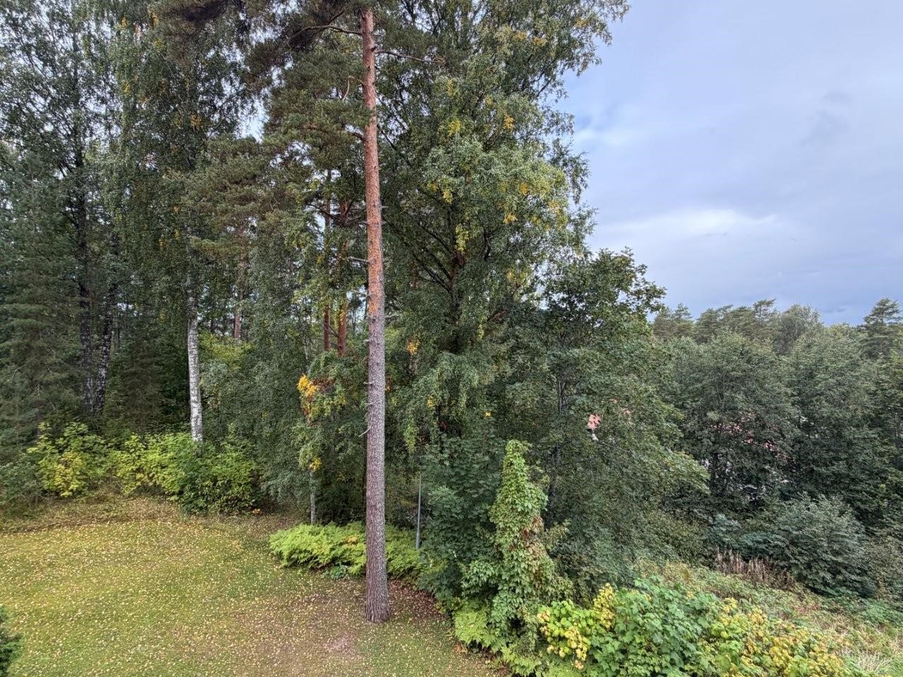 Kohdekuva 13