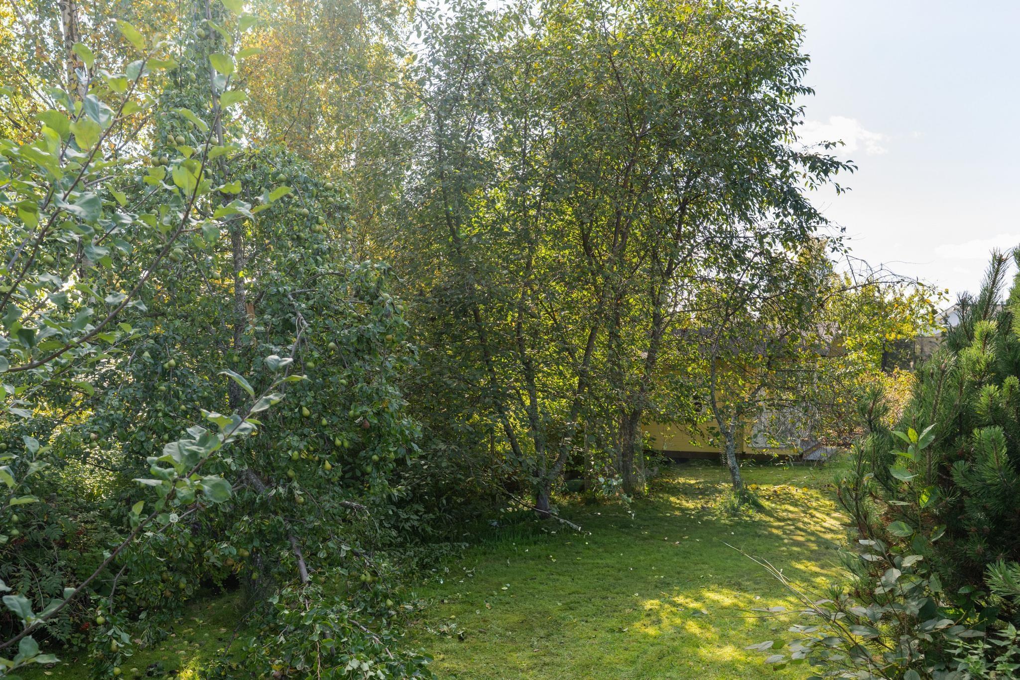 Kohdekuva 66
