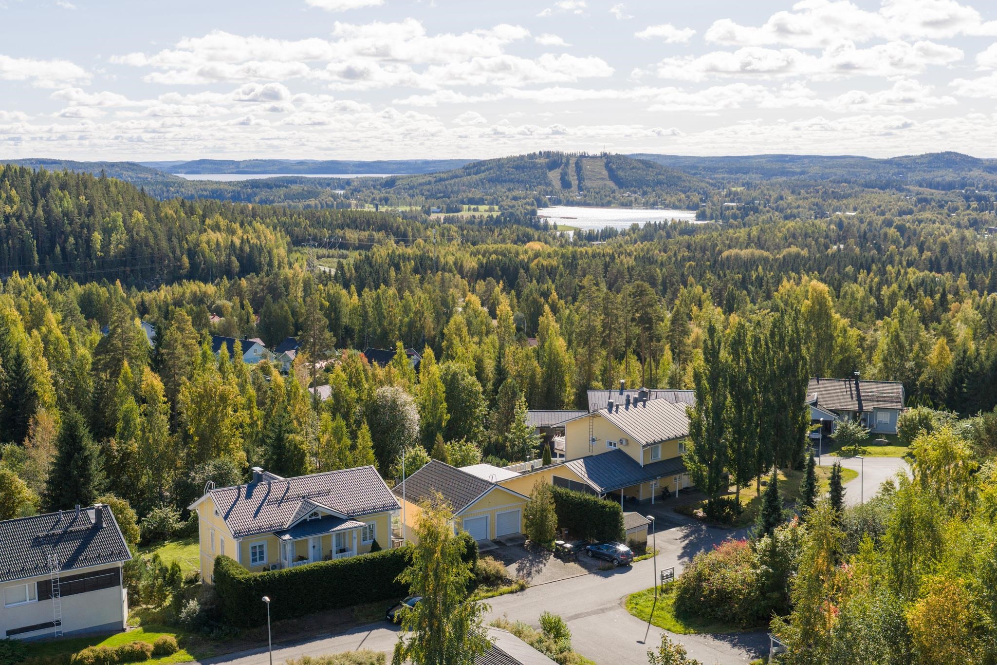 Kohdekuva 72