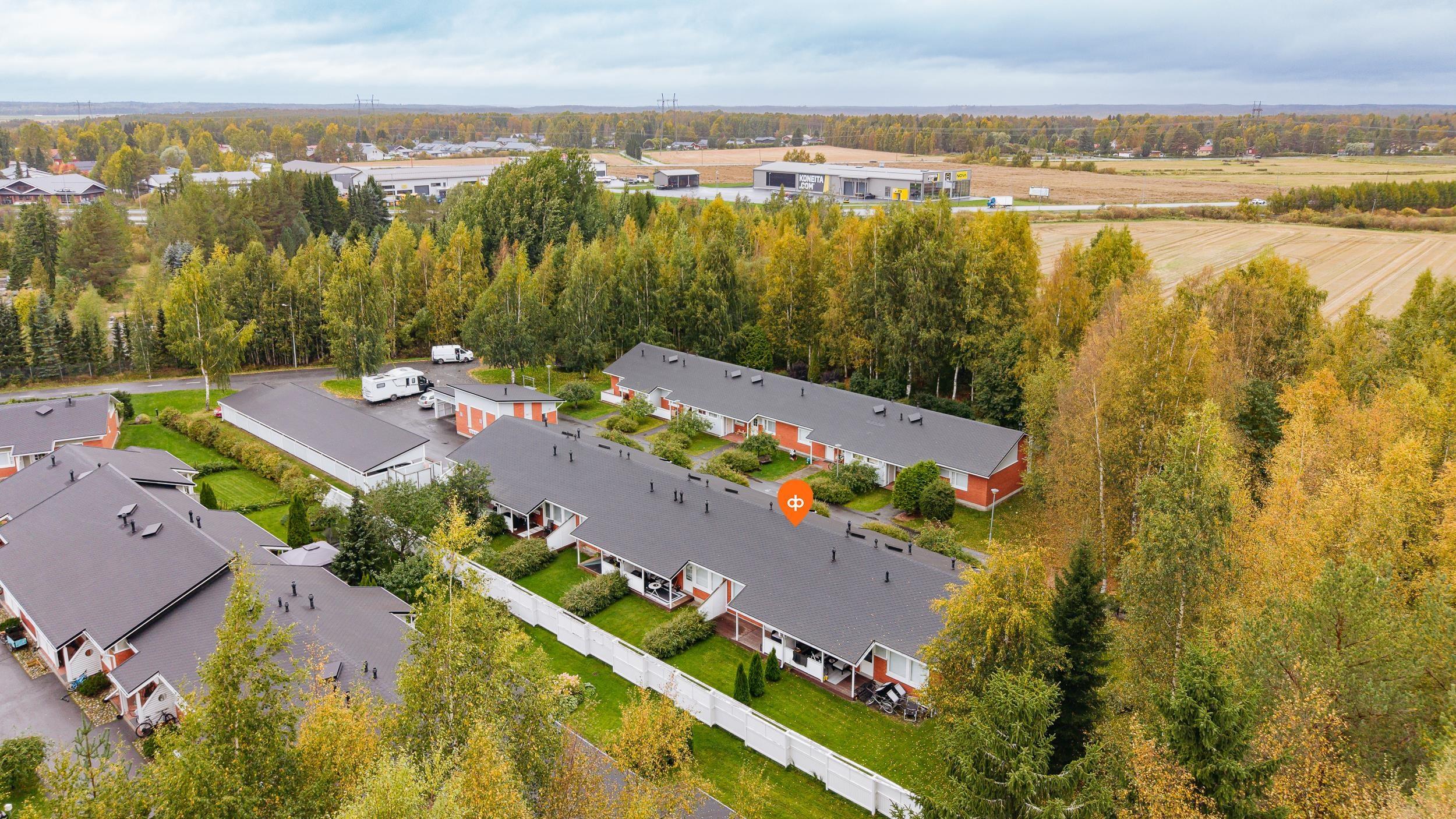Kohdekuva 17
