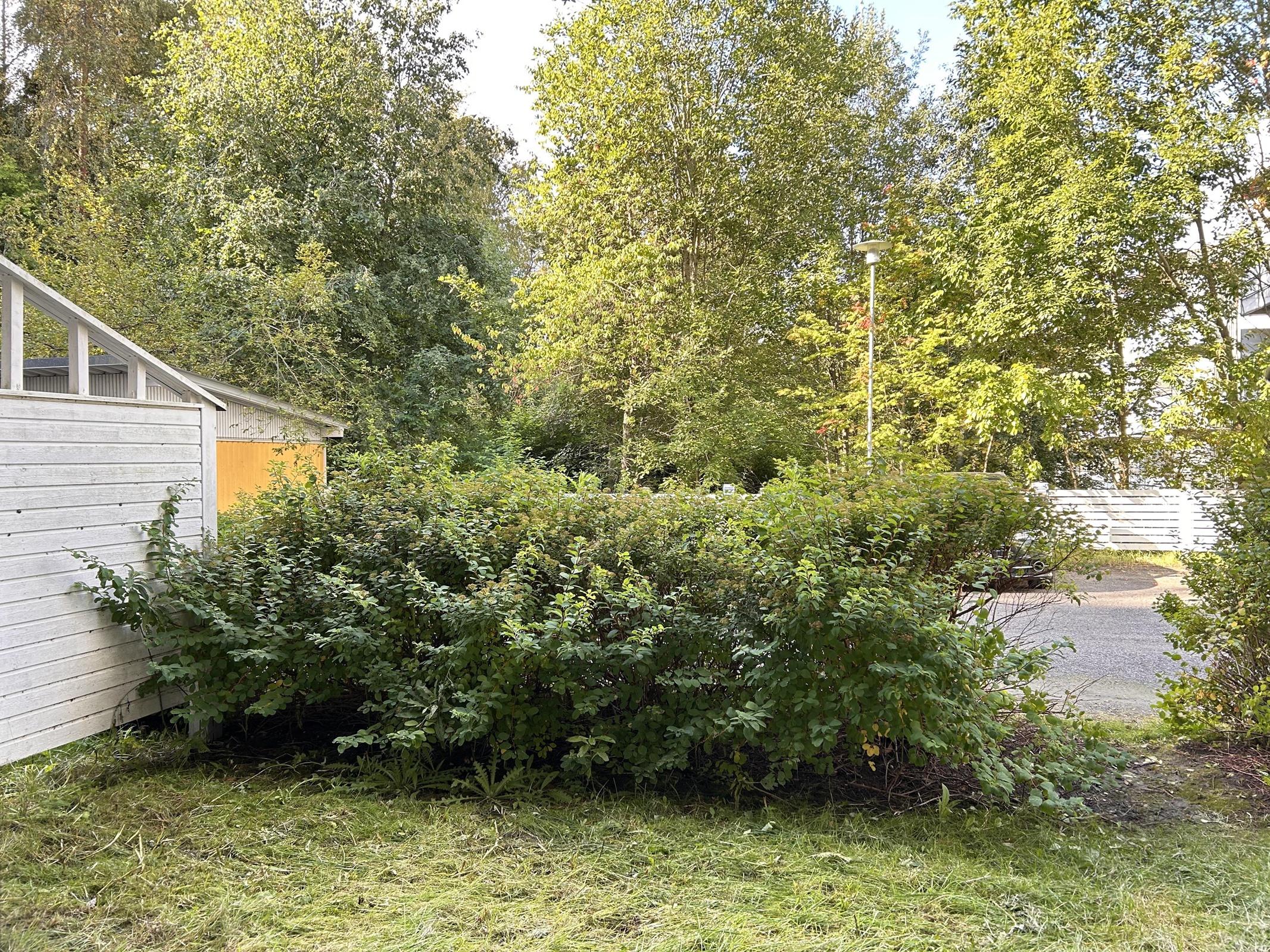 Kohdekuva 14