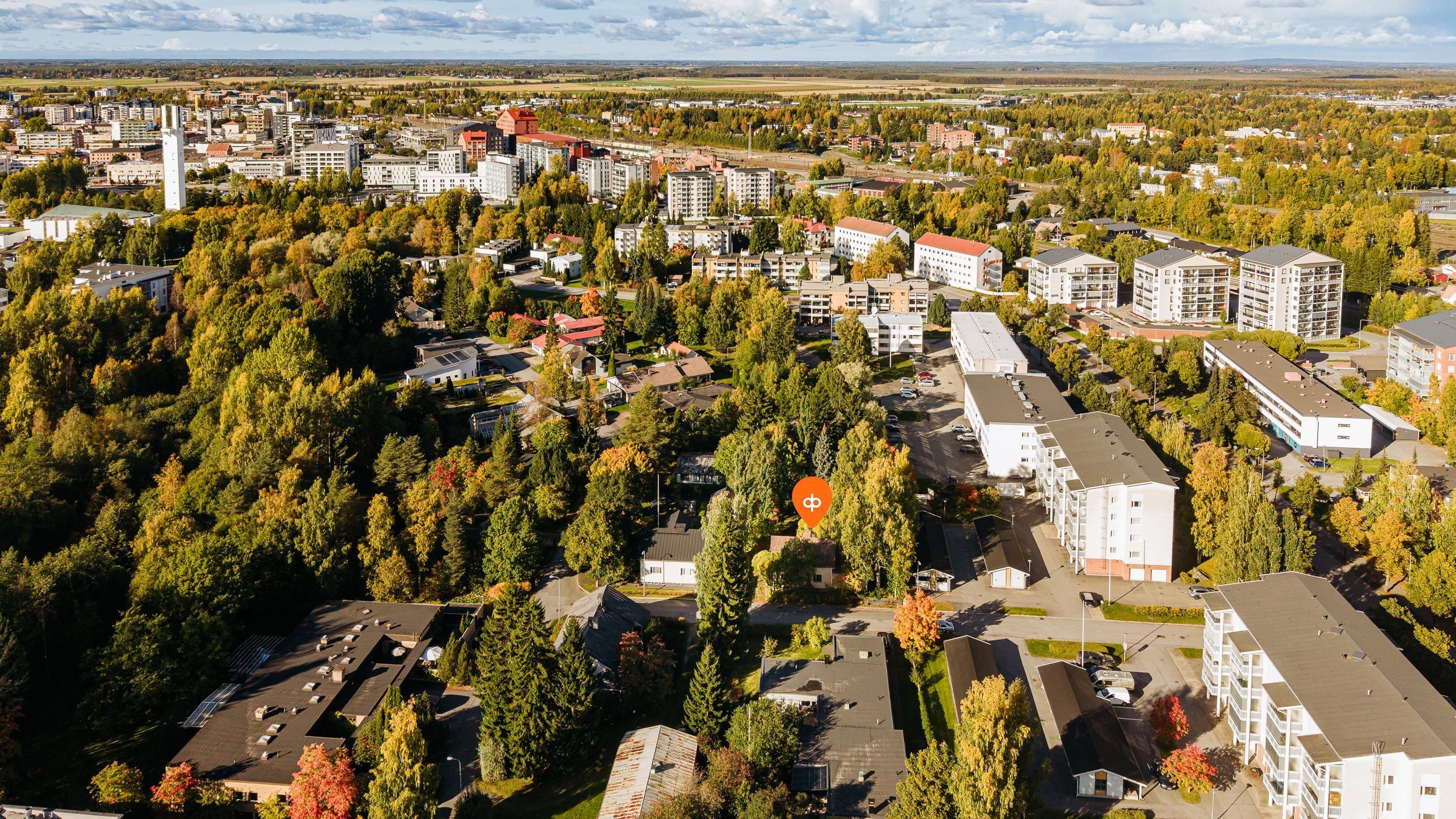 Kohdekuva 7