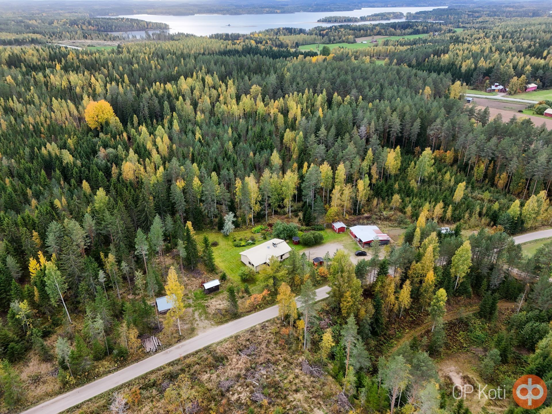 Kohdekuva 31