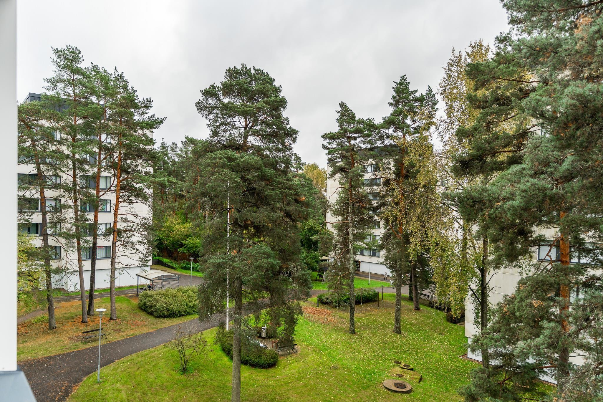 Kohdekuva 21