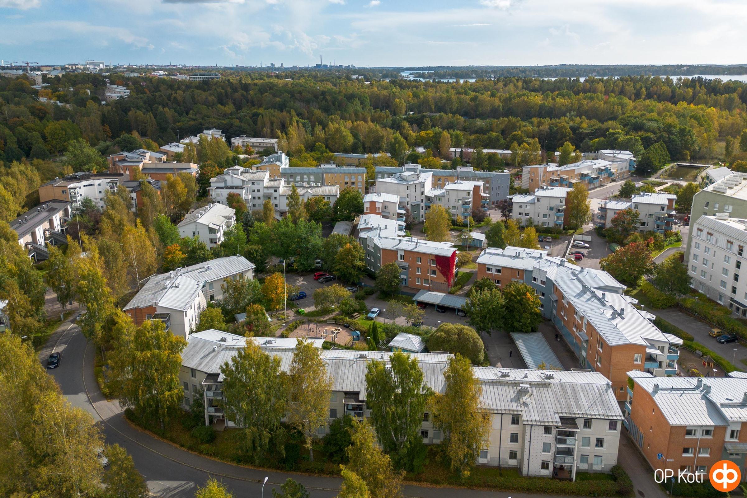 Kohdekuva 31