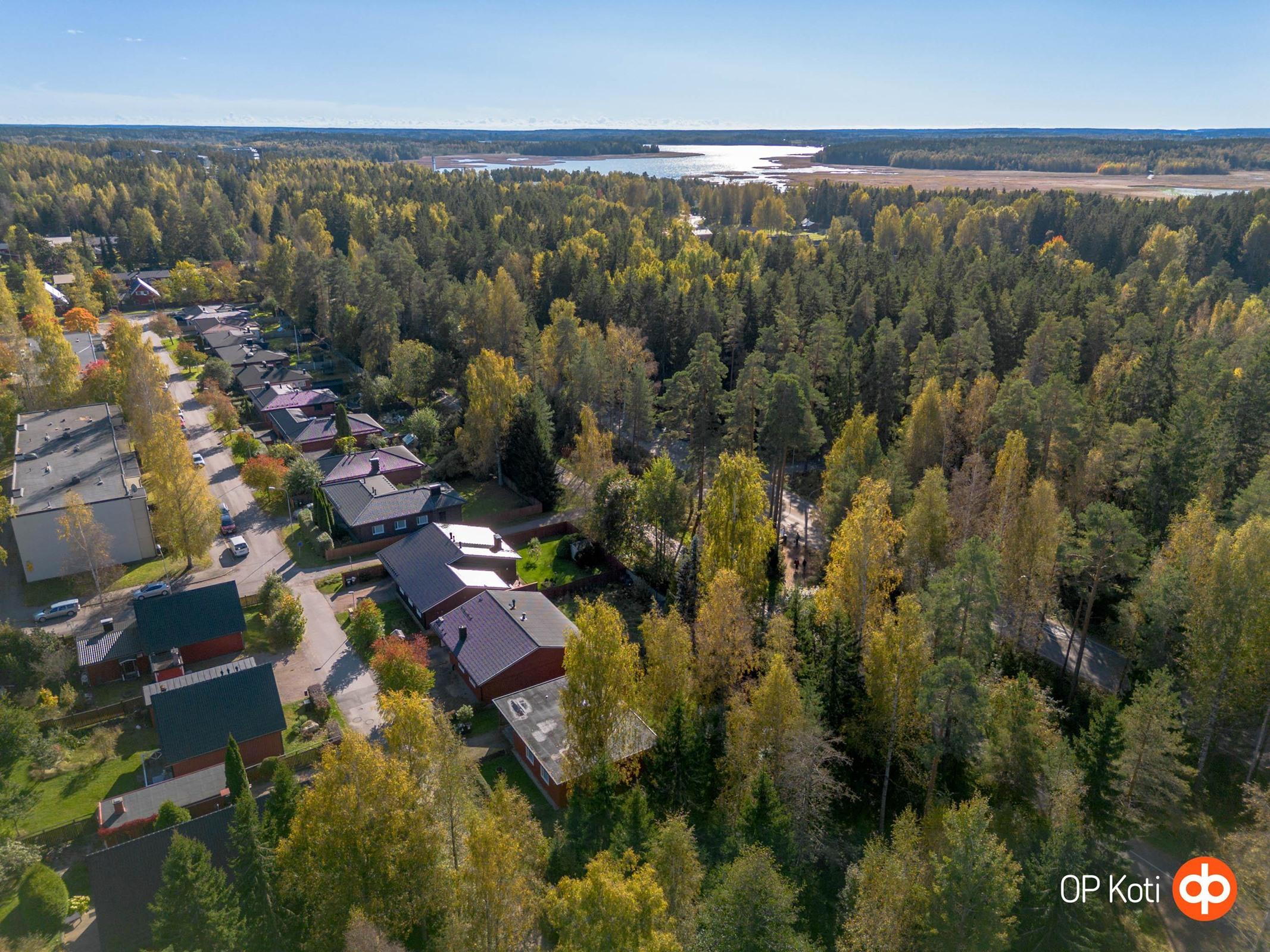 Kohdekuva 18