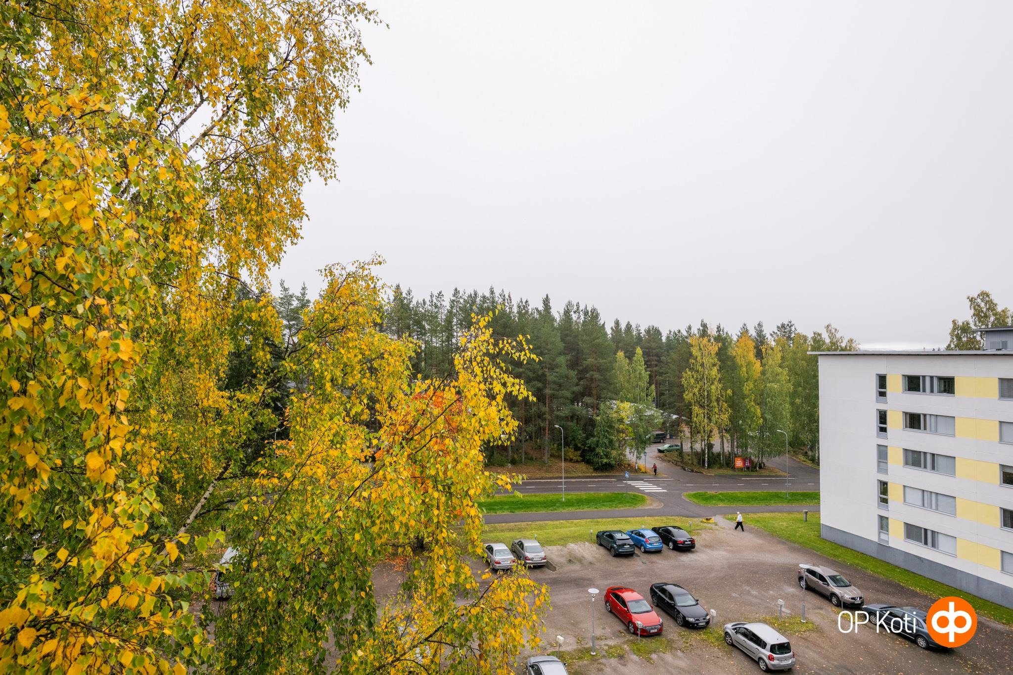 Kohdekuva 25