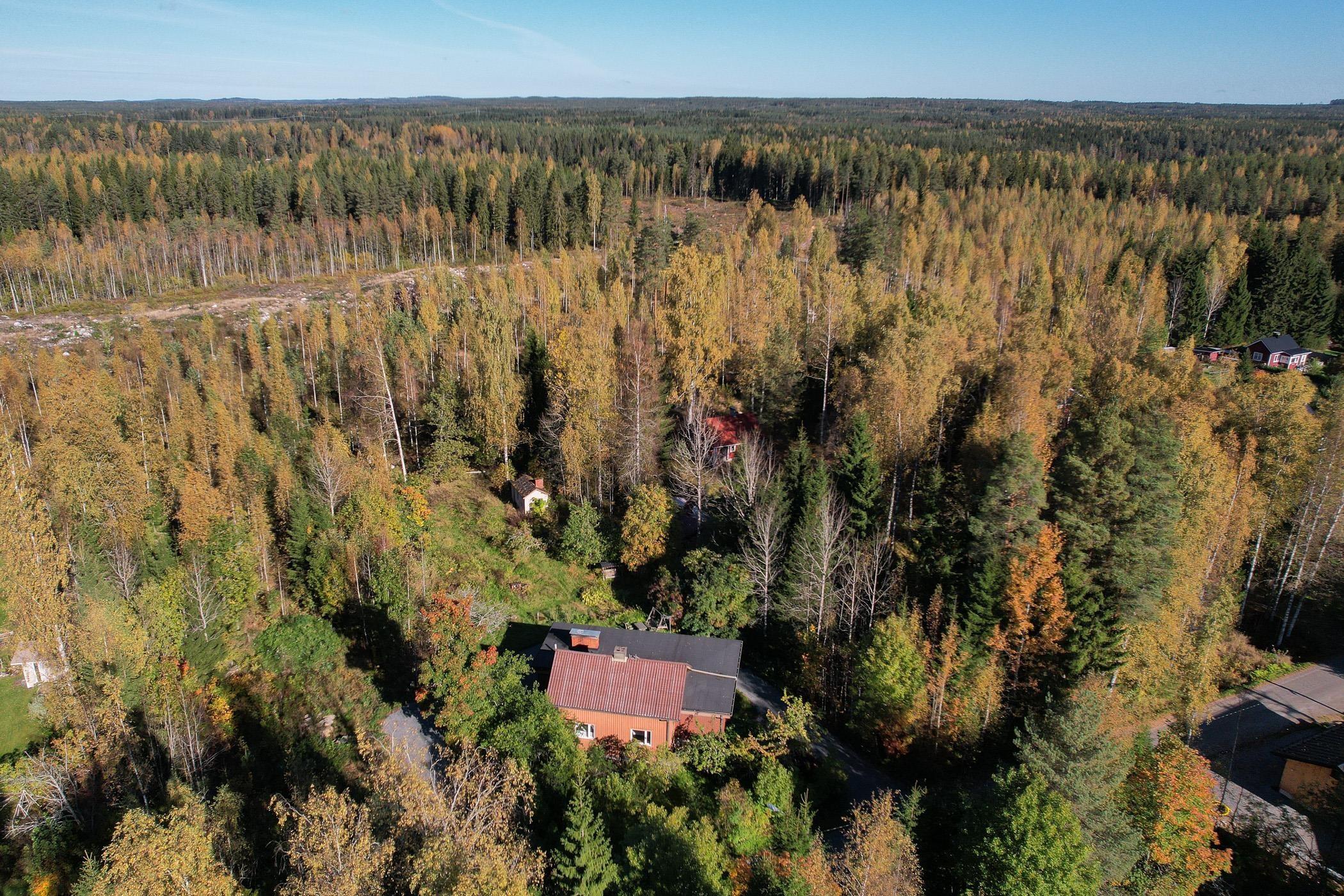Kohdekuva 30