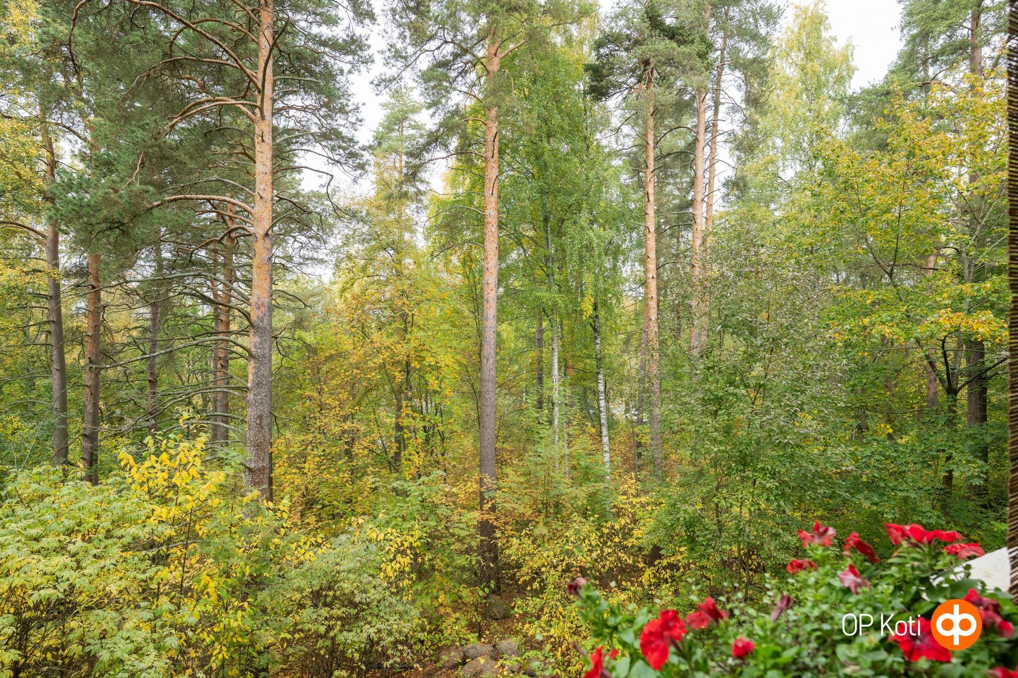 Parvekenäkymää