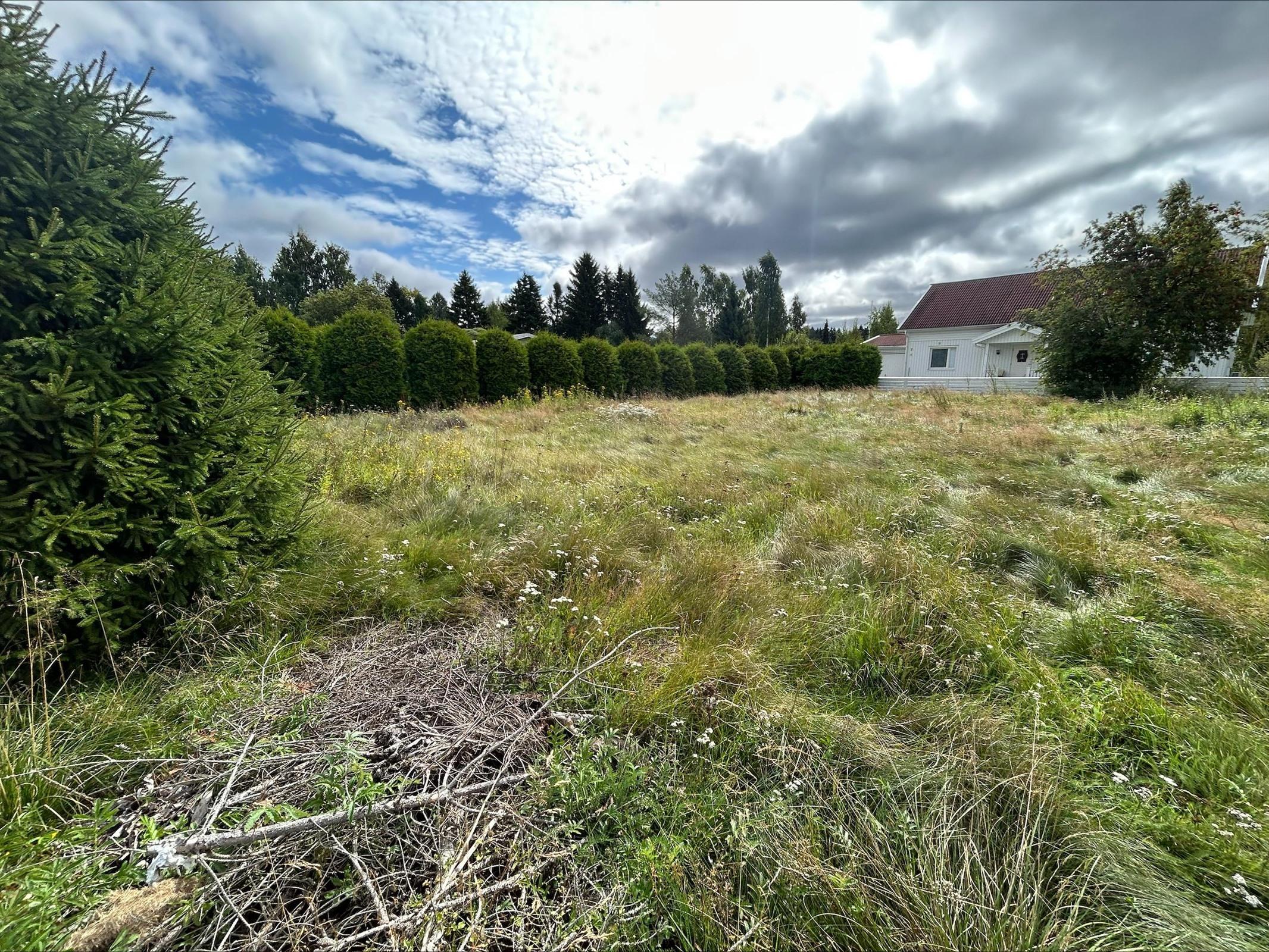 Kohdekuva 6