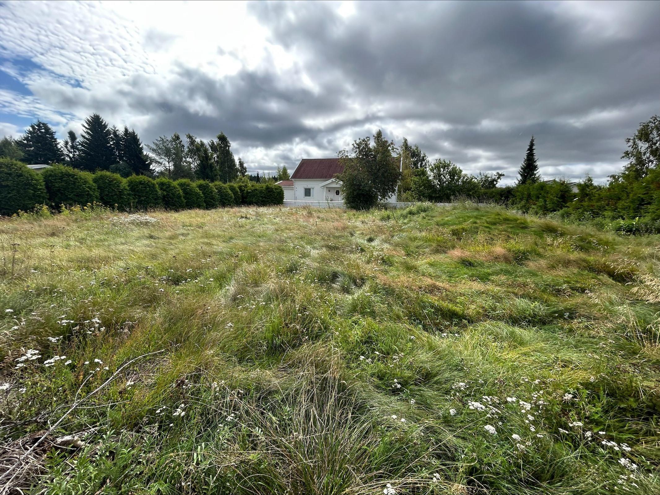 Kohdekuva 5