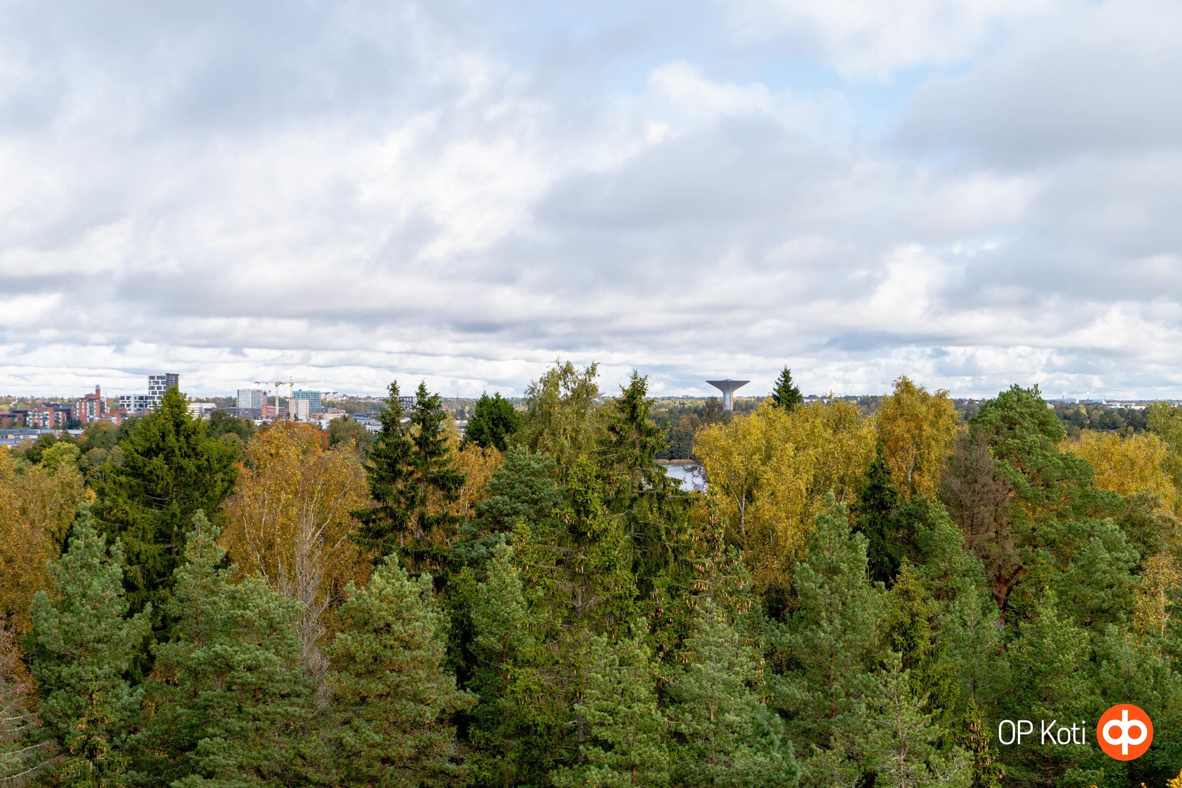Kohdekuva 18