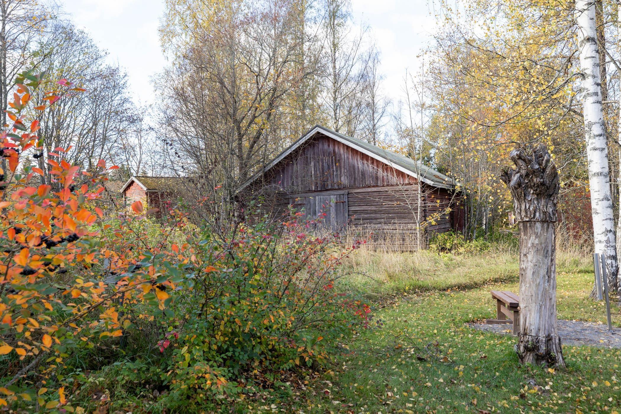 Kohdekuva 37