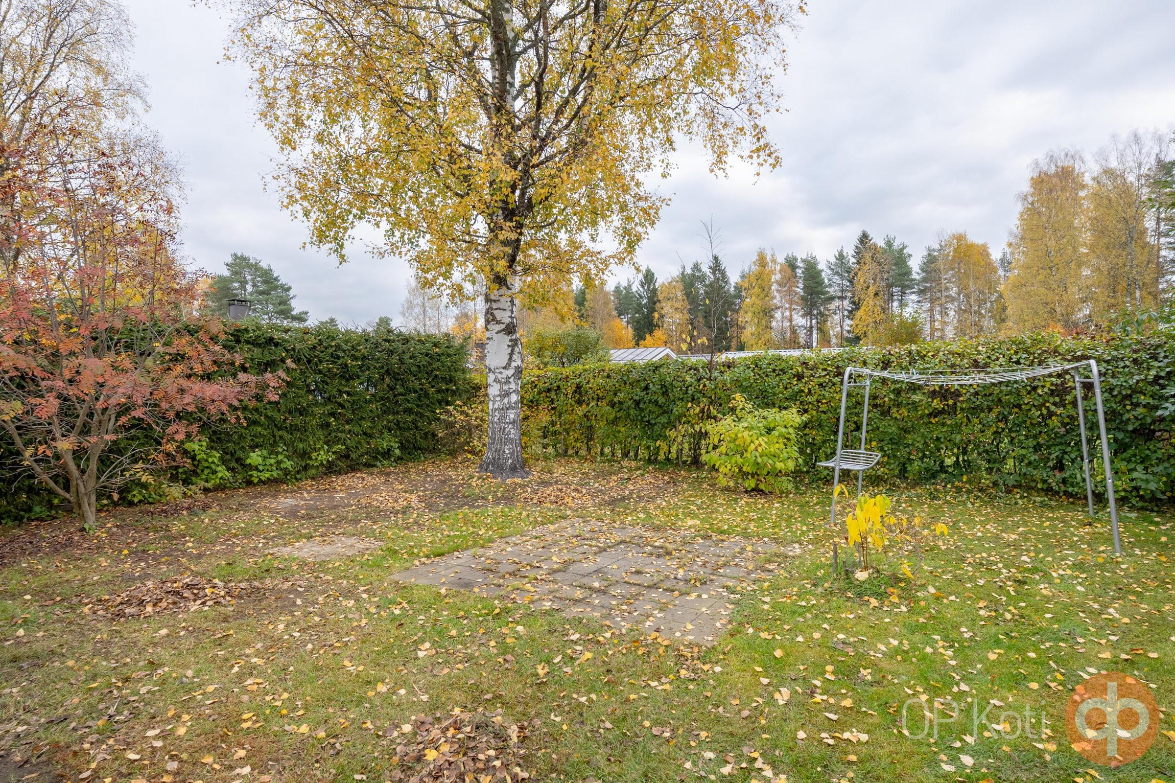 Kohdekuva 16