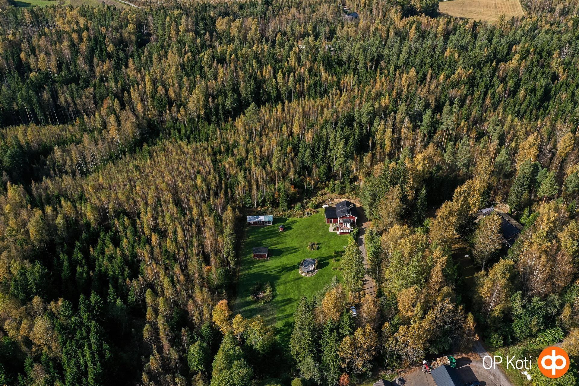 Kohdekuva 49