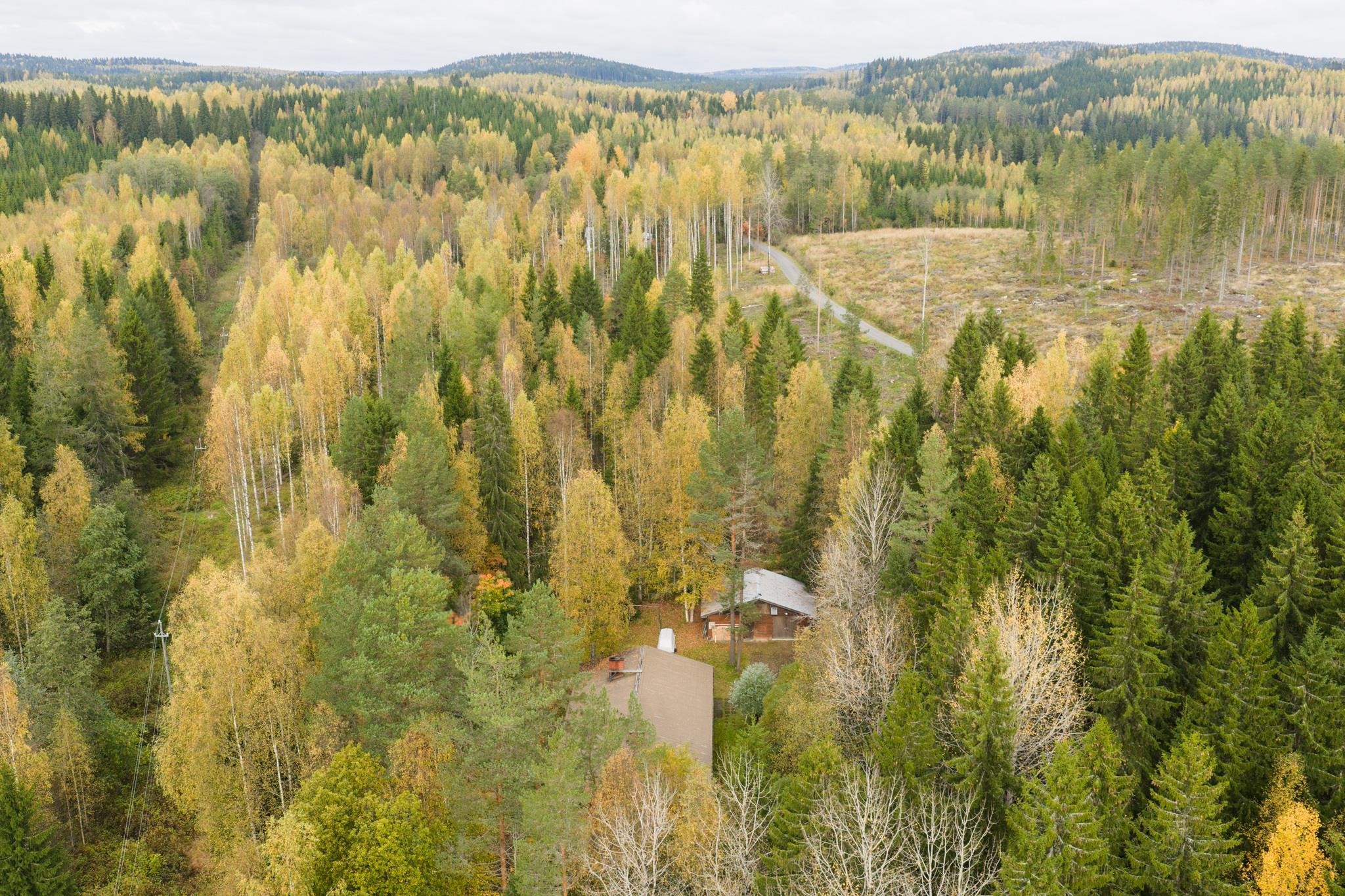 Kohdekuva 4