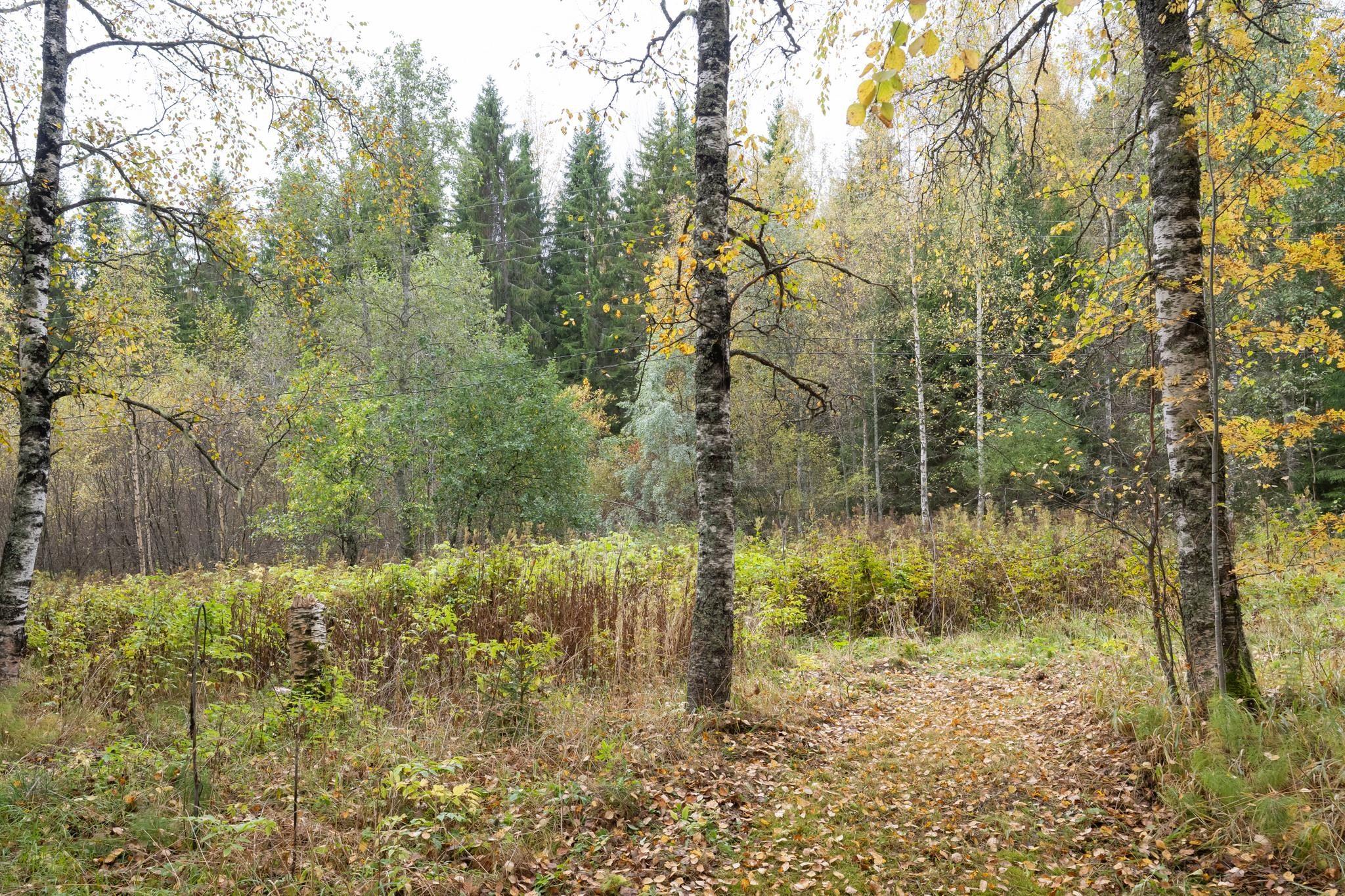 Kohdekuva 48