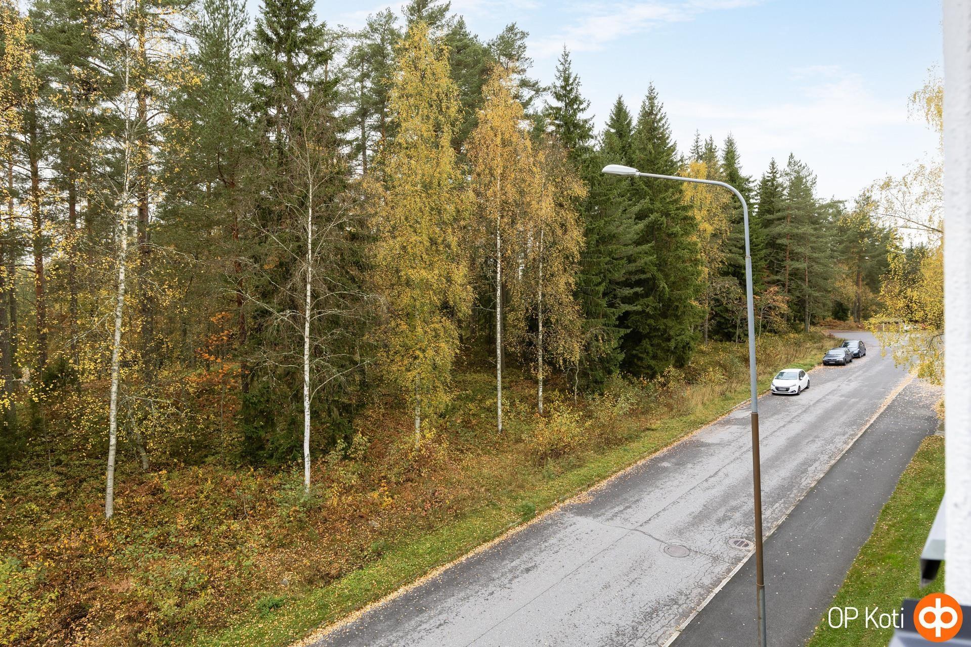 Kohdekuva 17