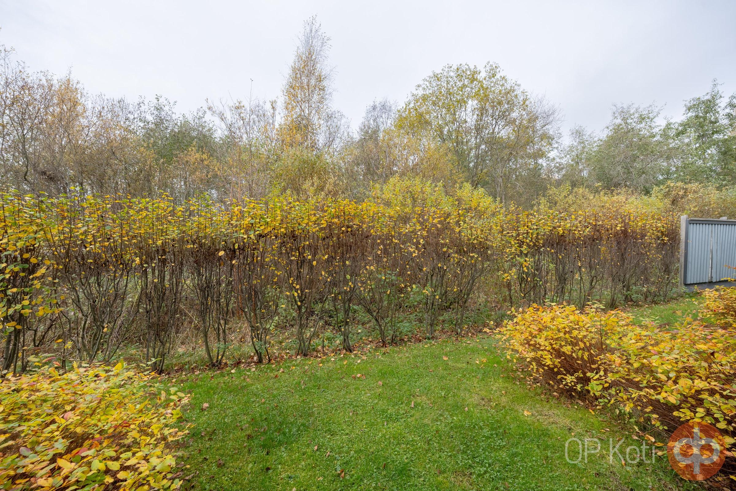 Kohdekuva 11