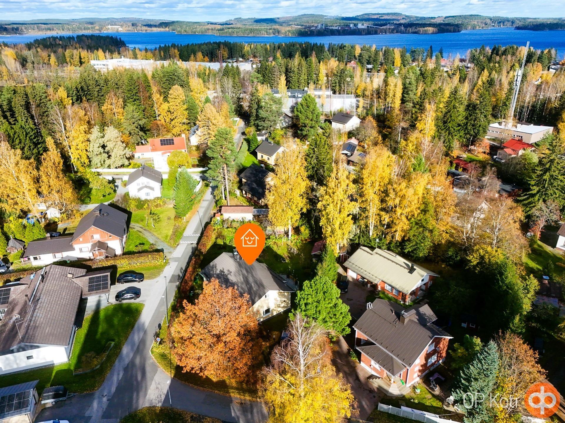 Kohdekuva 36