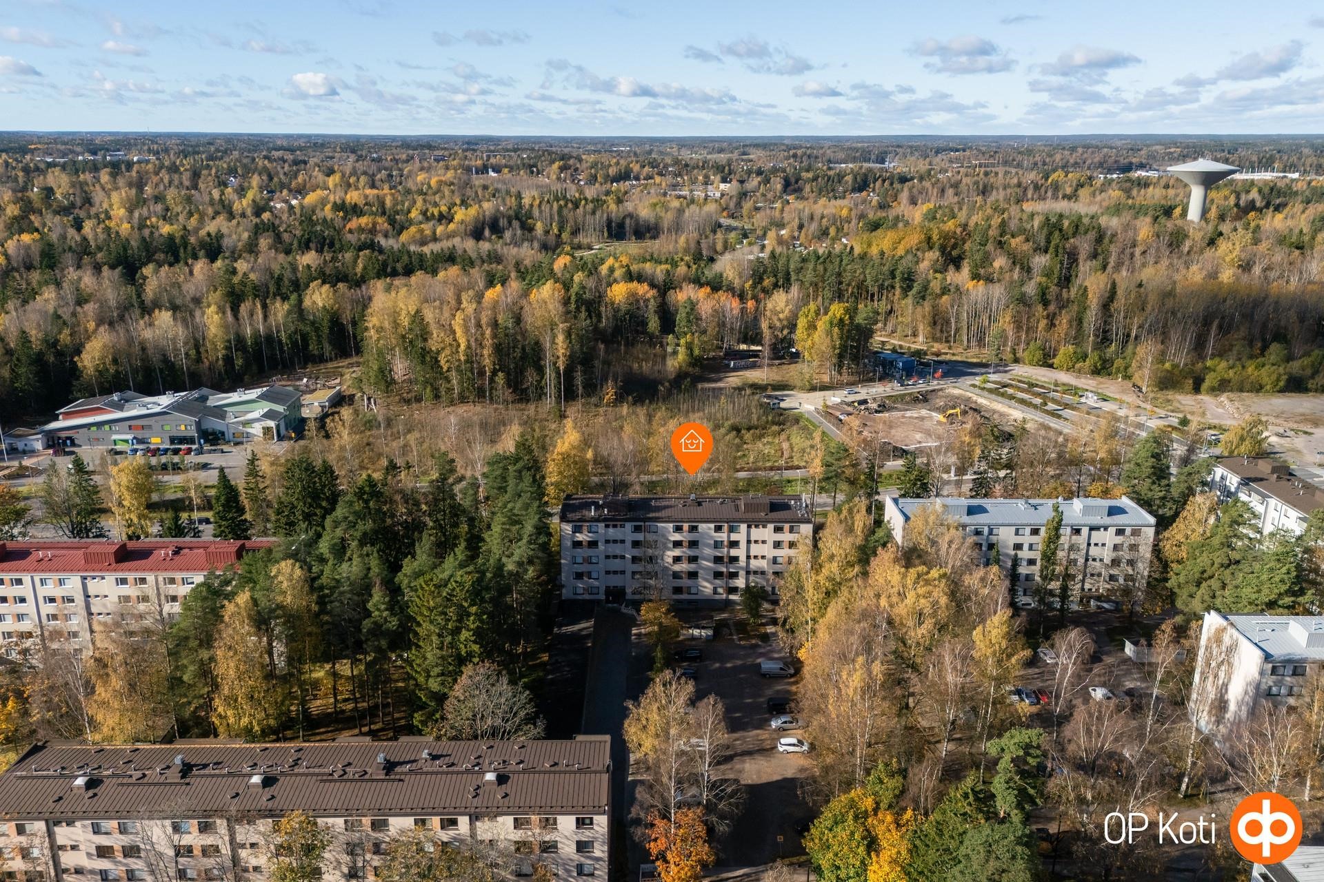 Kohdekuva 31