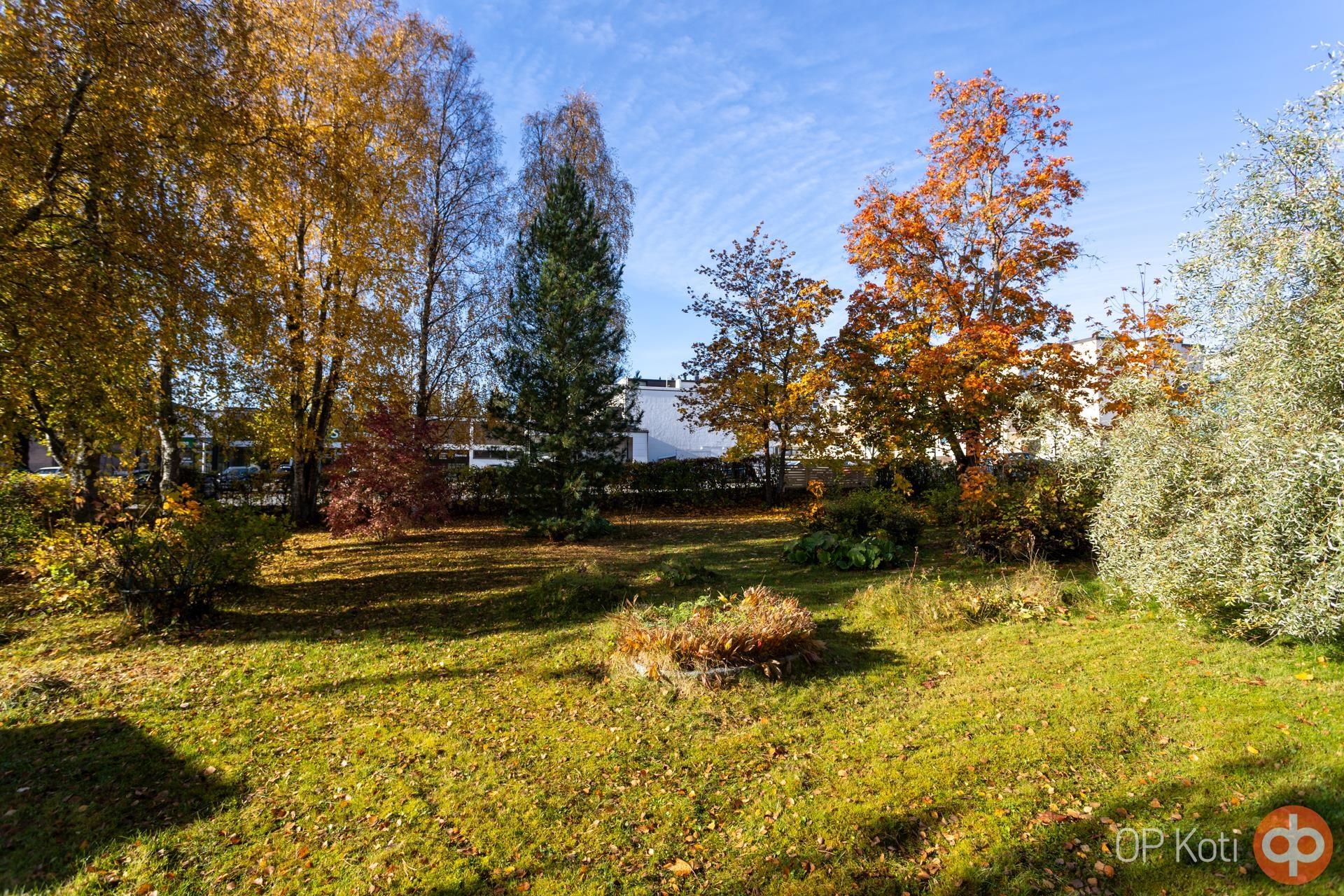 Kohdekuva 25