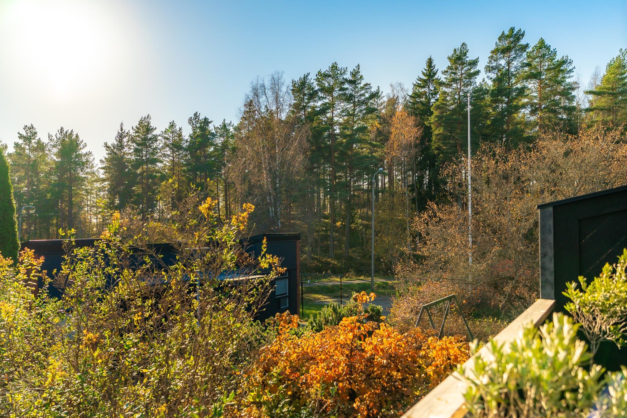 Kohdekuva 34