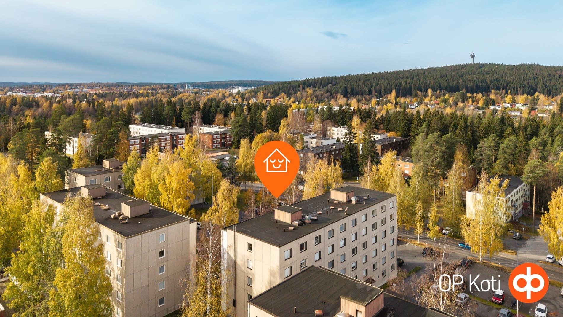 Kohdekuva 19